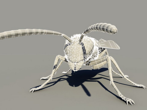Wasp Vespula 3D model_7