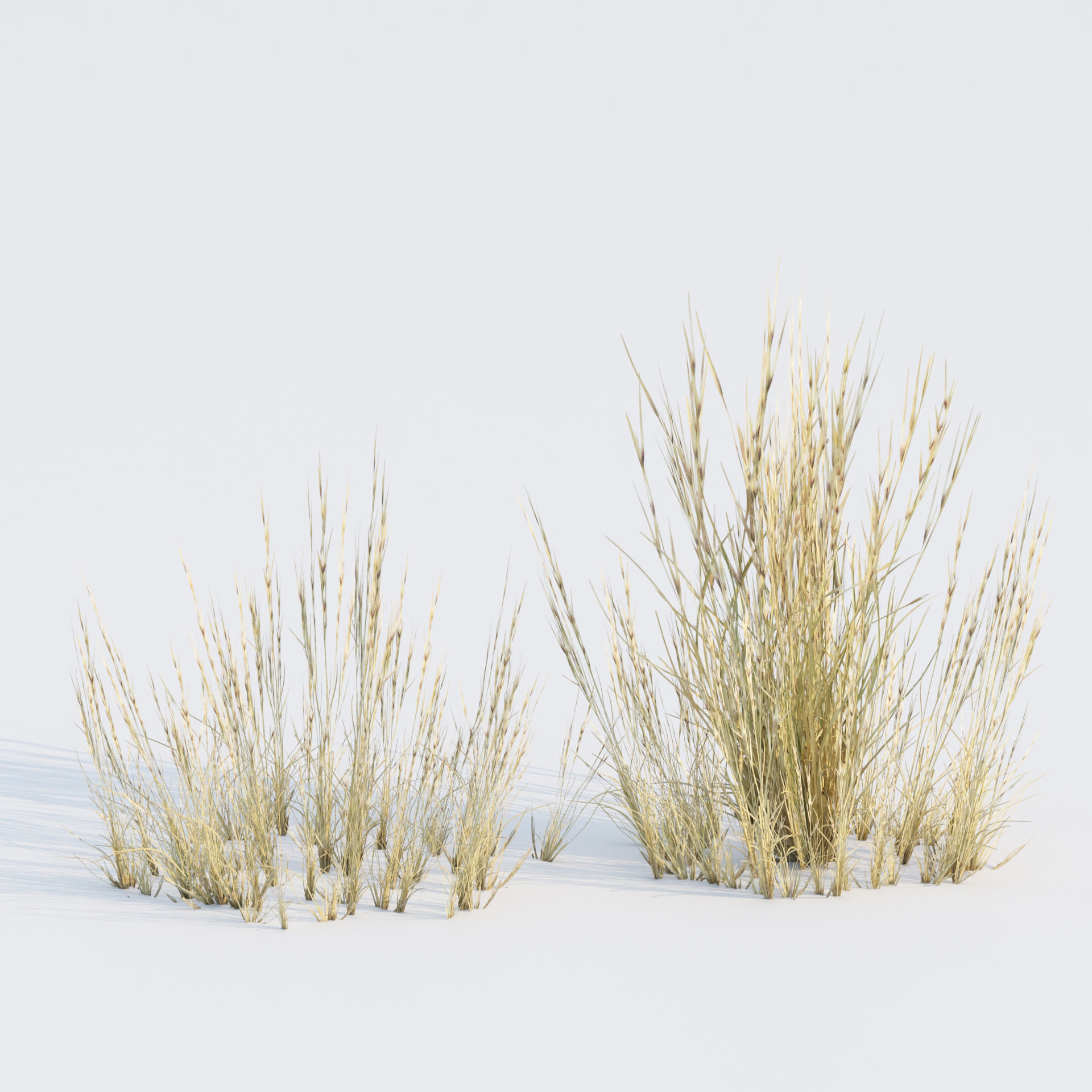 Low poly 3d wild dry grass collection vol 278 Low-poly 3D model_5