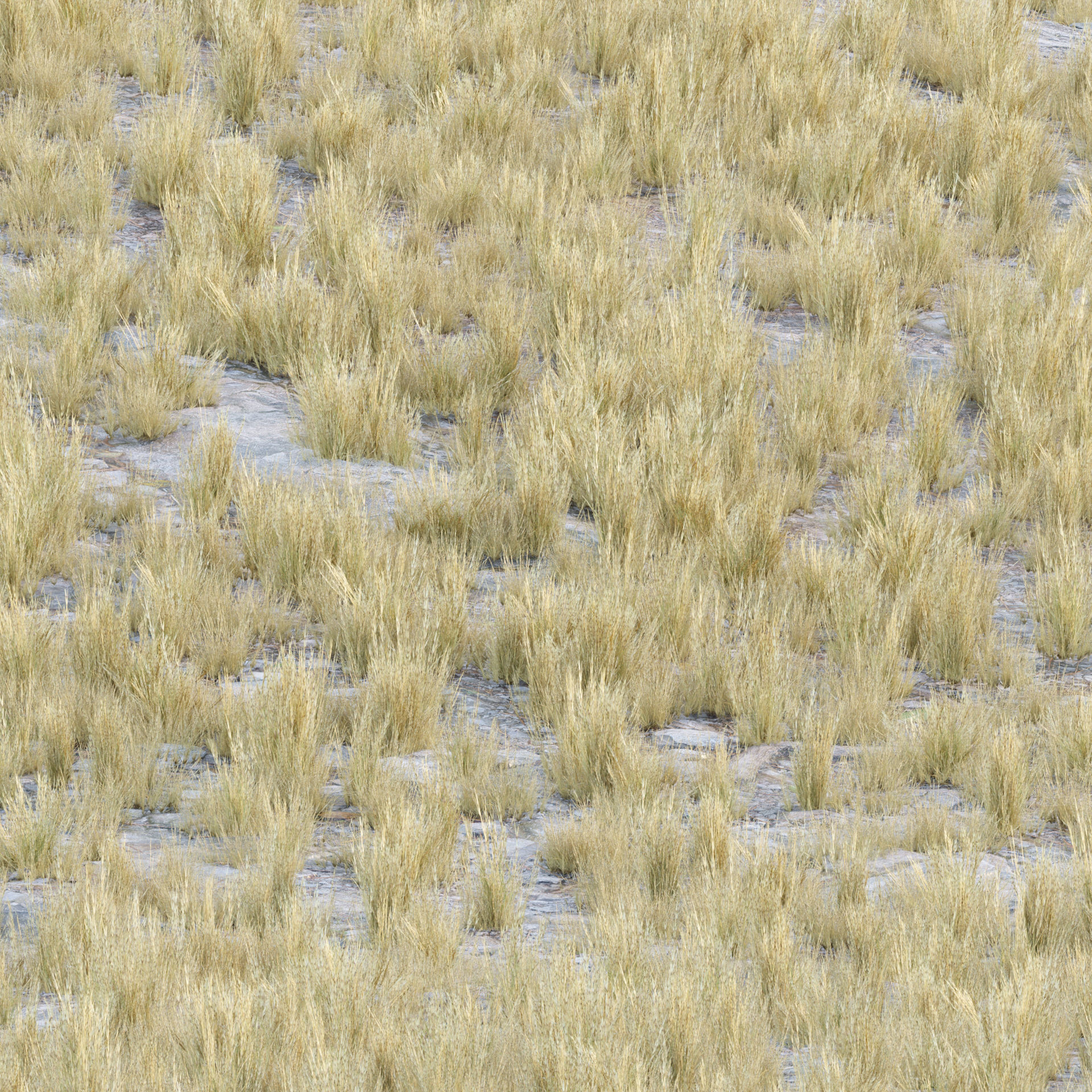 Low poly 3d wild dry grass collection vol 278 Low-poly 3D model_2