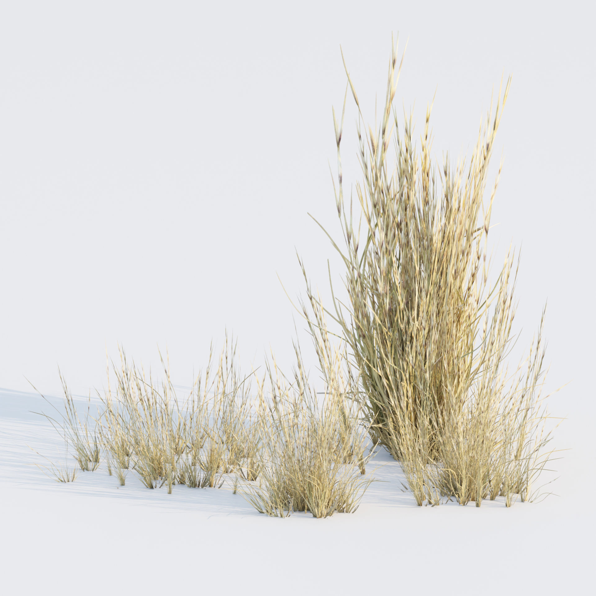 Low poly 3d wild dry grass collection vol 278 Low-poly 3D model_6