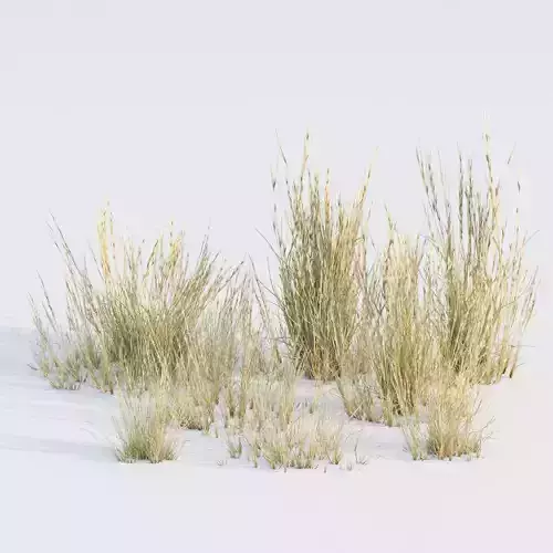 Low poly 3d wild dry grass collection vol 278 Low-poly 3D model