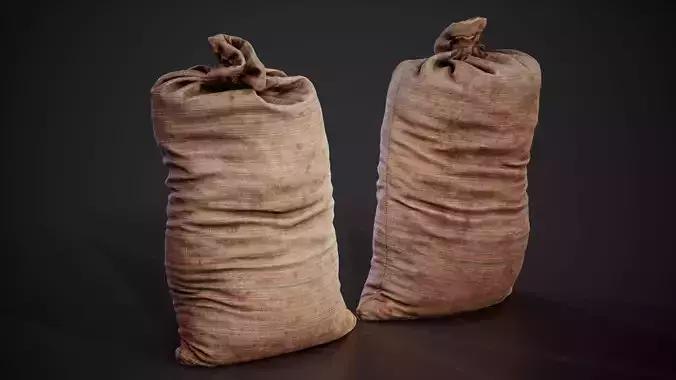 Realistic old burlap bag 03 photo scan