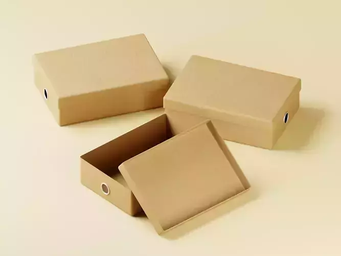 Cardboard File Box 3D Model