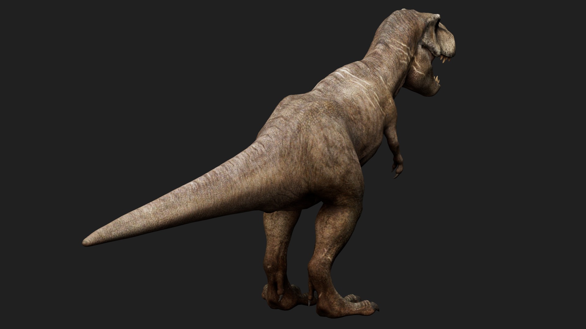 dinosaur Low-poly 3D model_2