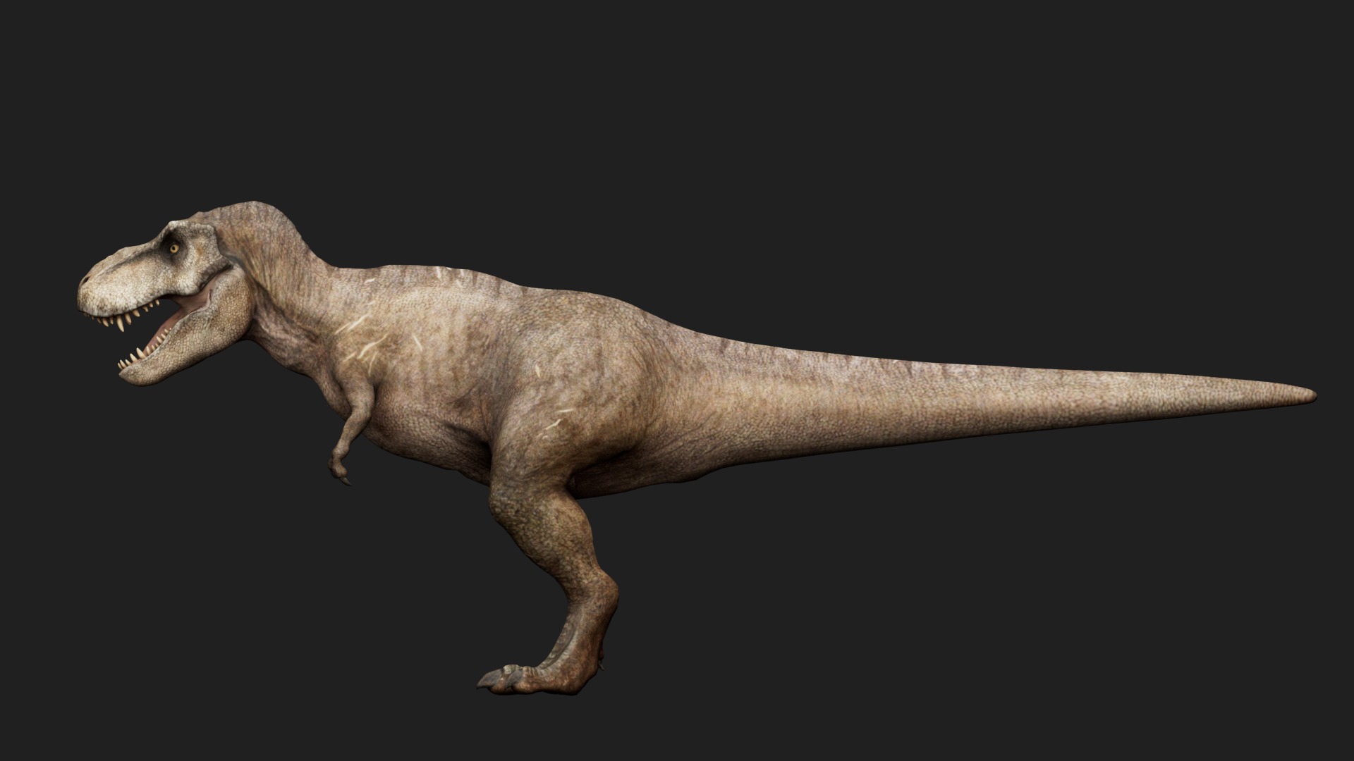 dinosaur Low-poly 3D model_6