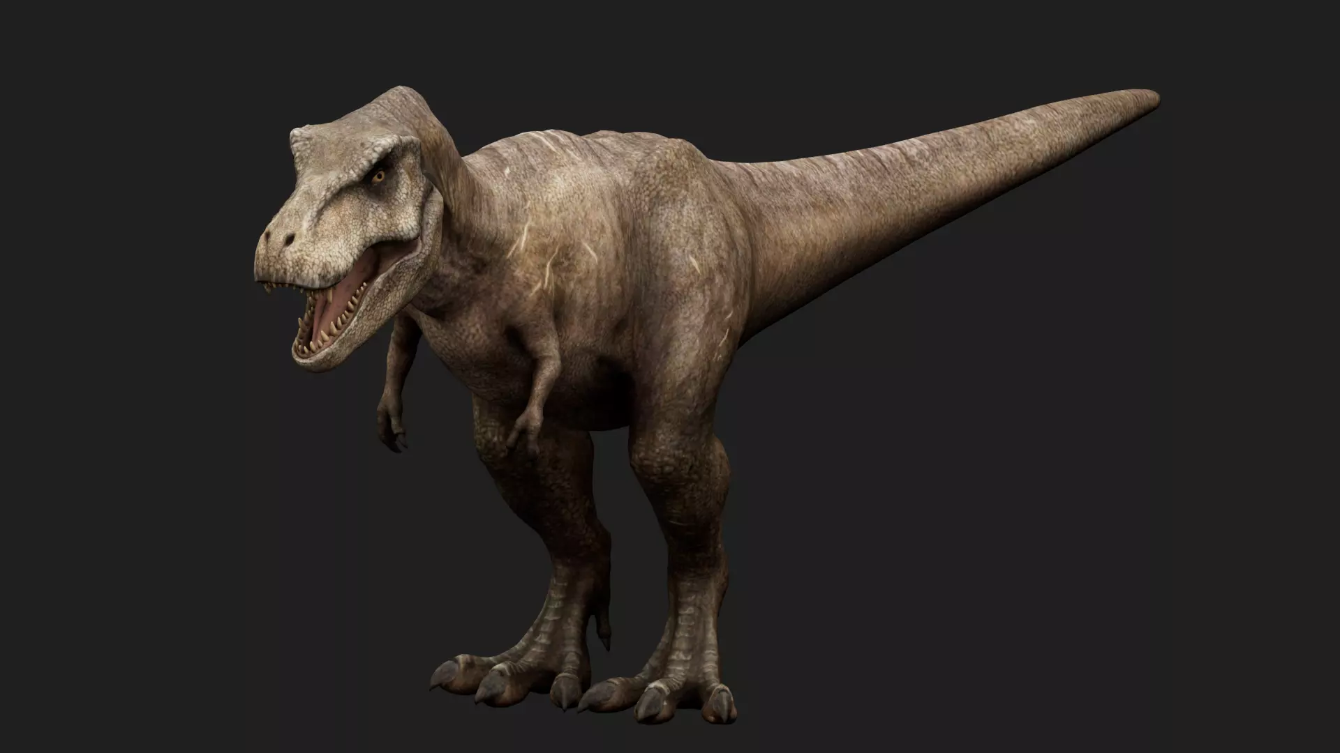 dinosaur Low-poly 3D model_0