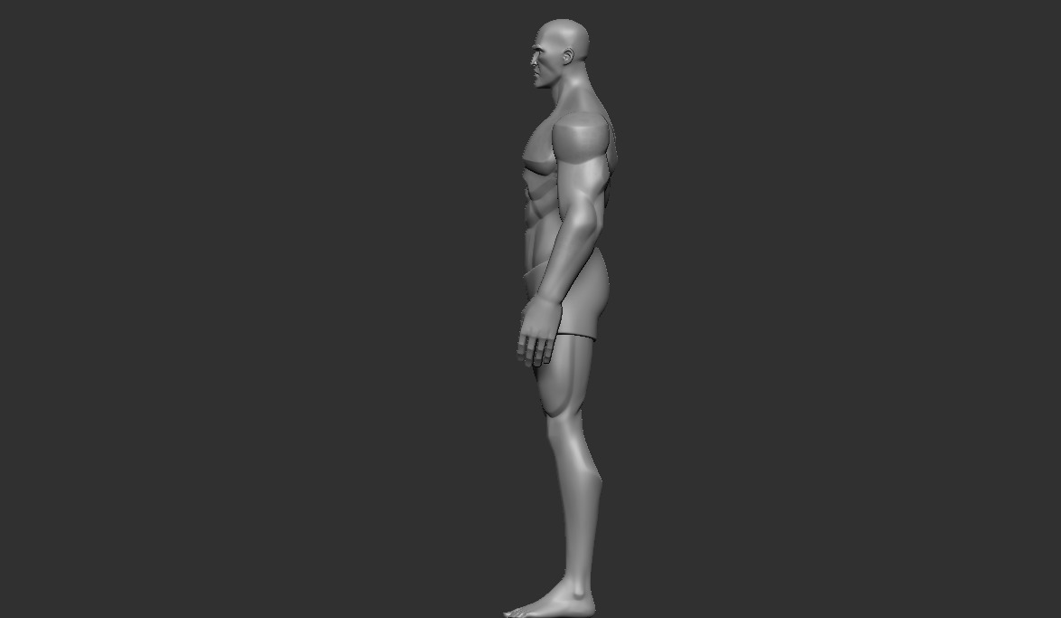 Body Man stylized characters Hight Poly 3D model_4