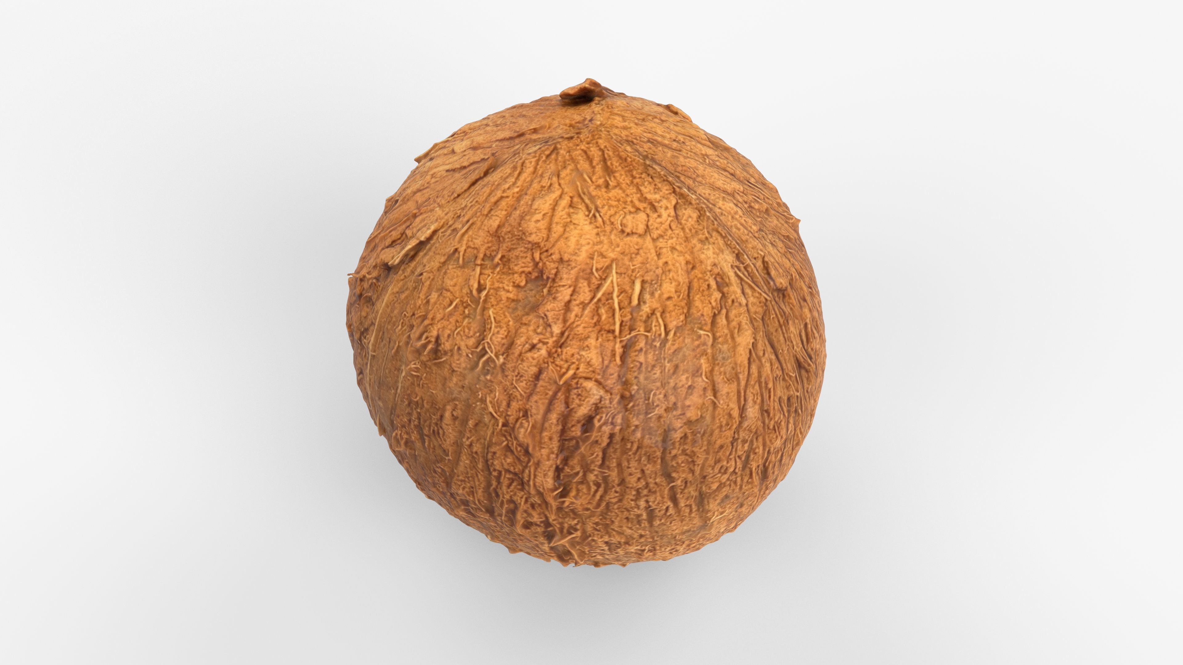 Photorealistic 3D scan of coconut Low-poly 3D model_13