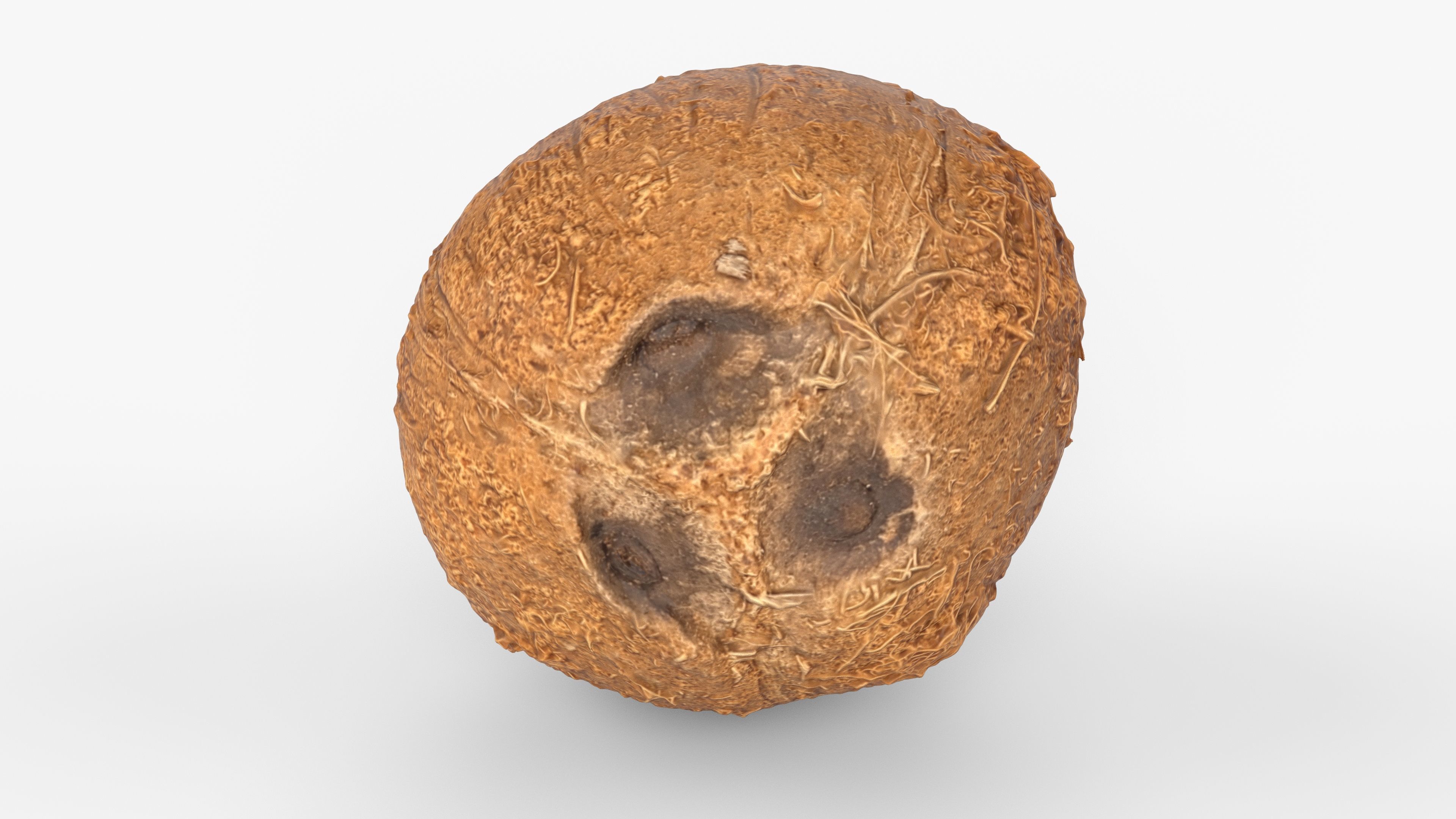 Photorealistic 3D scan of coconut Low-poly 3D model_12