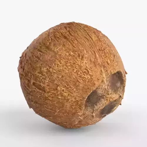 Photorealistic 3D scan of coconut Low-poly 3D model