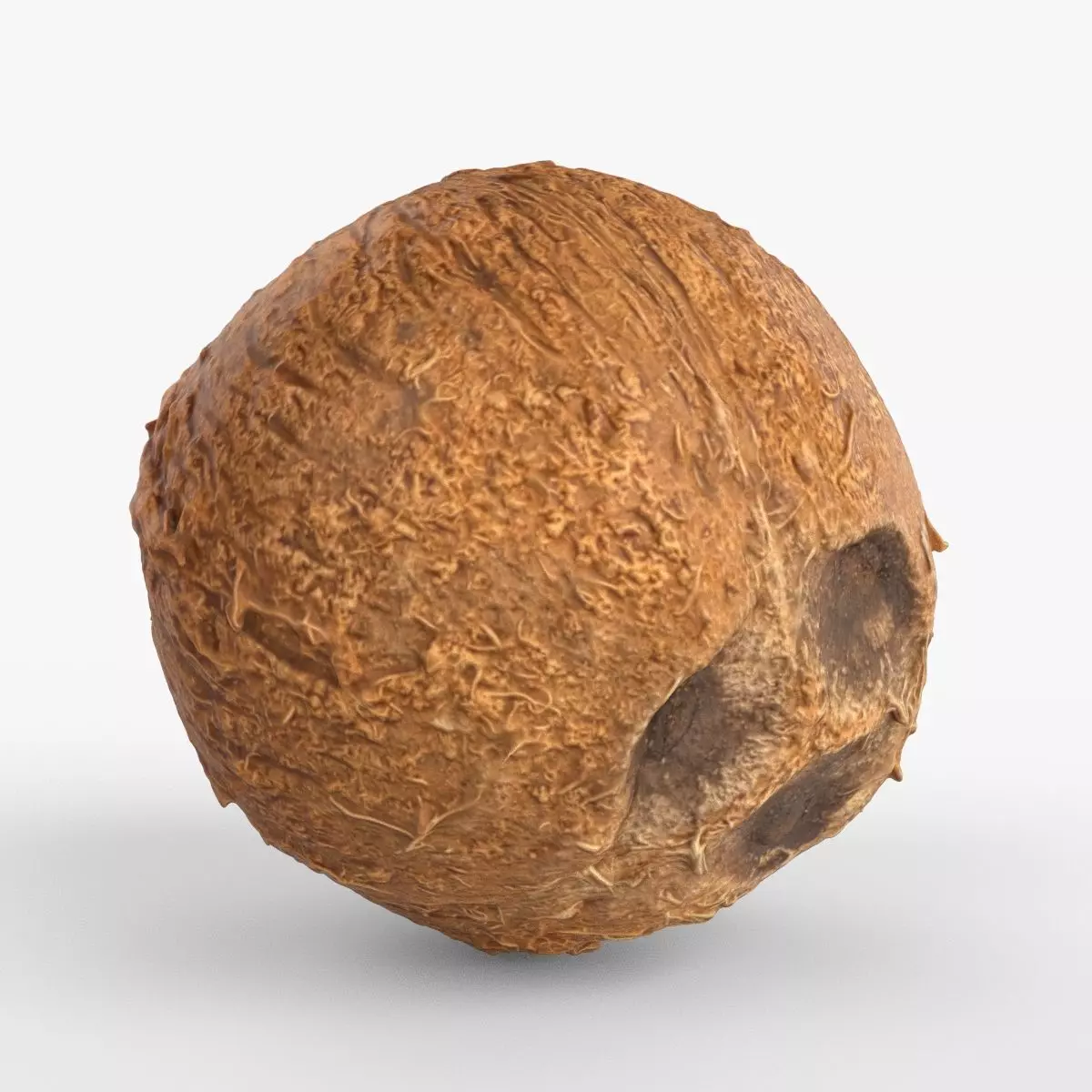 Photorealistic 3D scan of coconut Low-poly 3D model_0