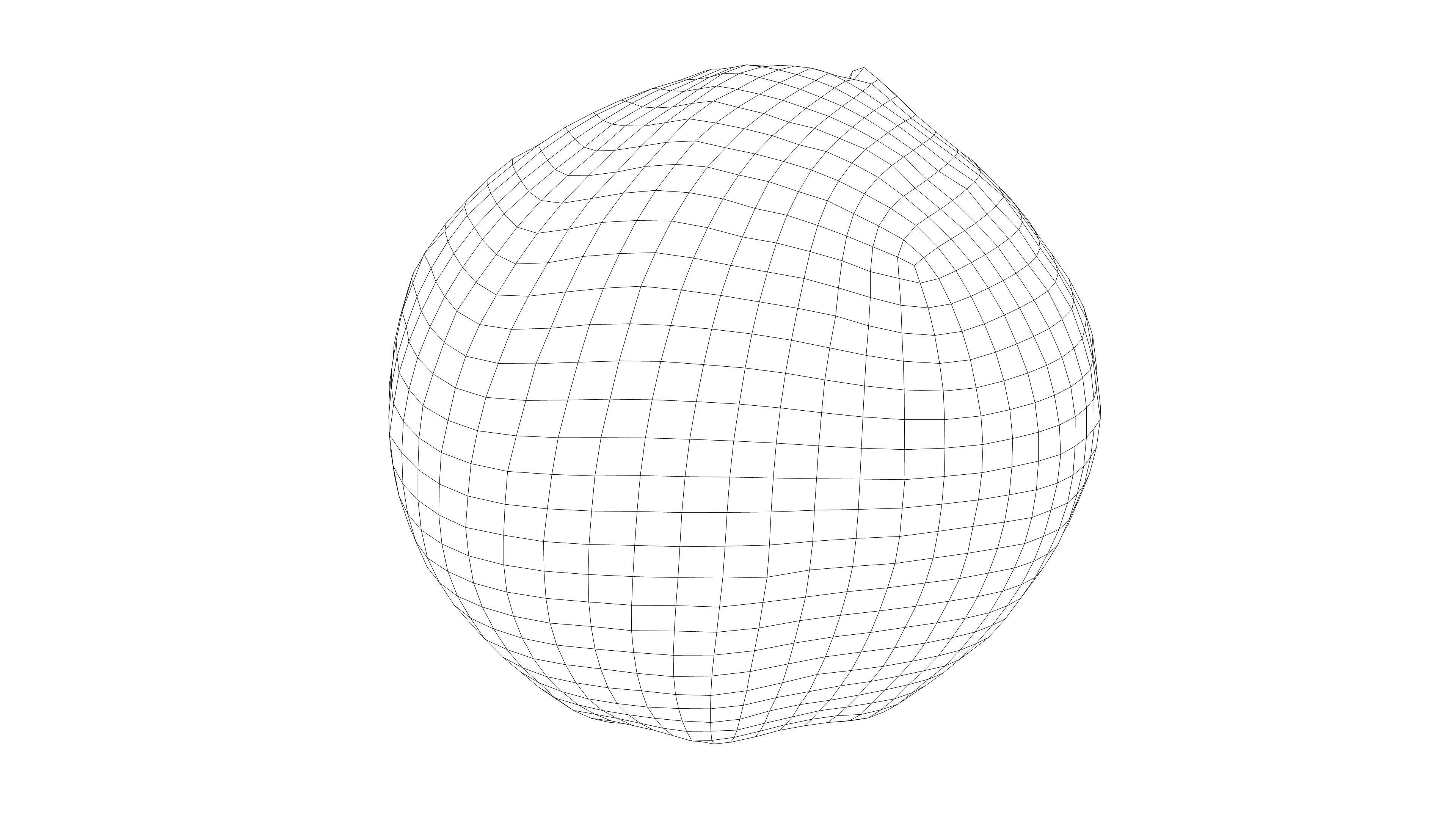 Photorealistic 3D scan of coconut Low-poly 3D model_3