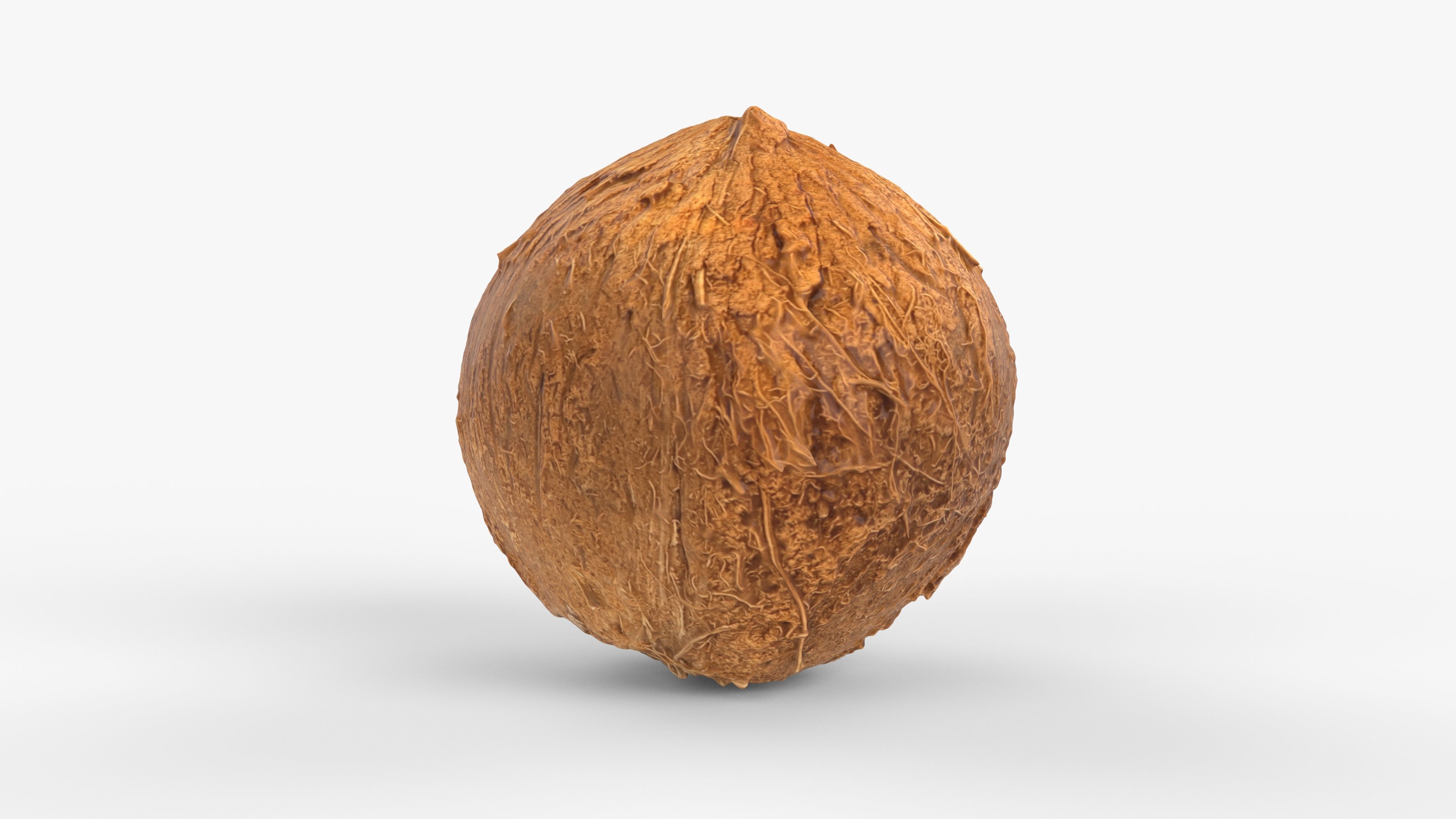 Photorealistic 3D scan of coconut Low-poly 3D model_8