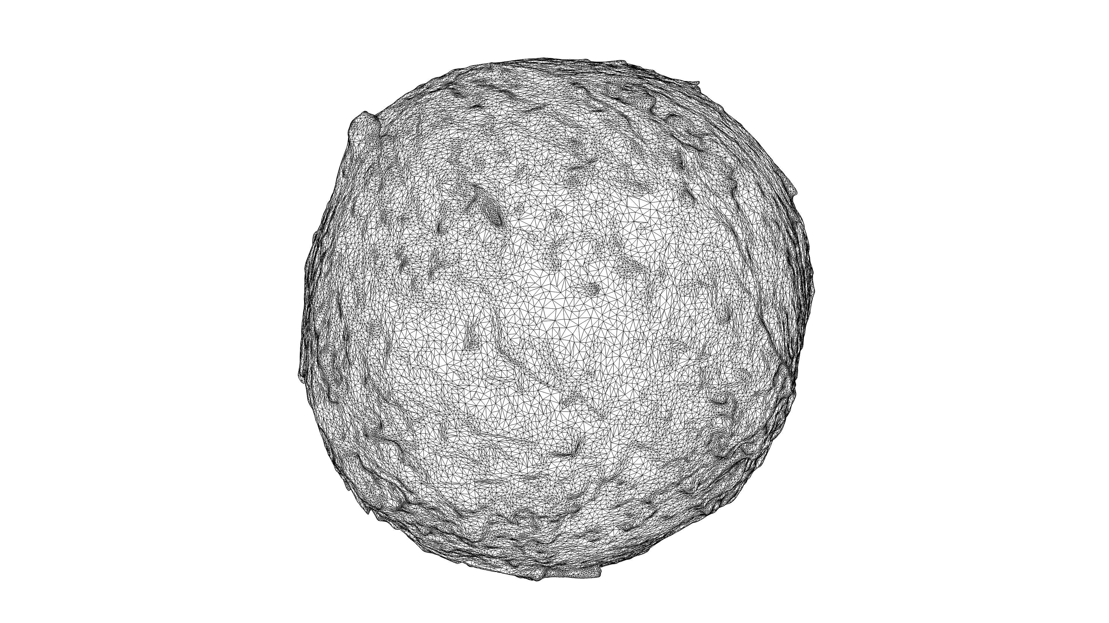 Photorealistic 3D scan of coconut Low-poly 3D model_21