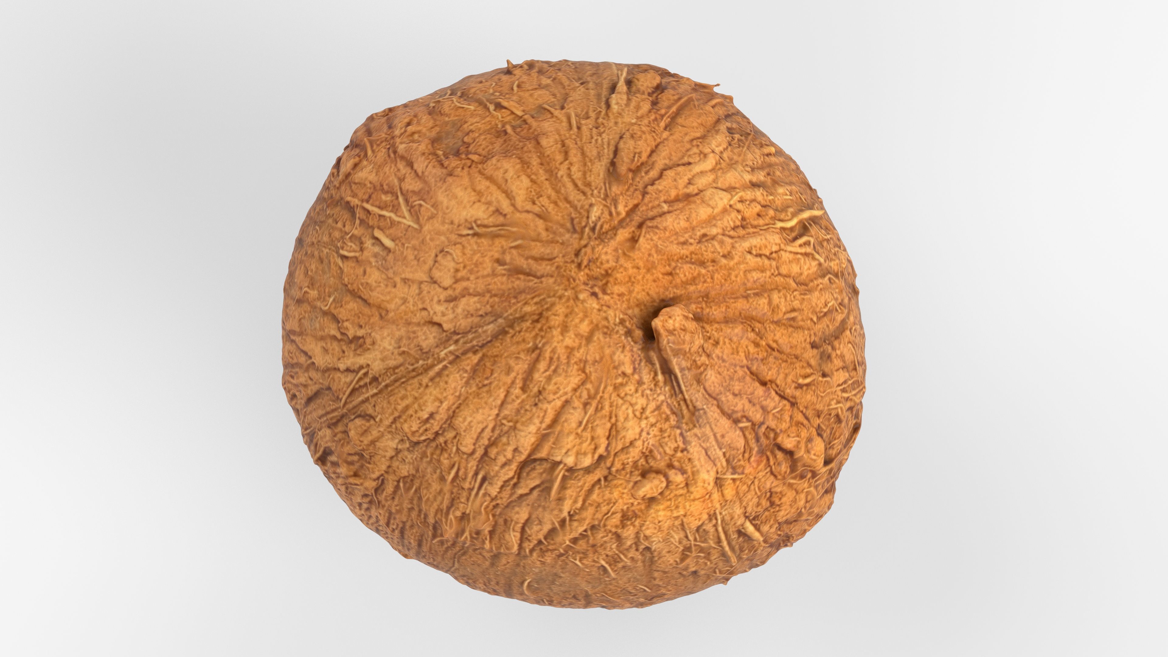 Photorealistic 3D scan of coconut Low-poly 3D model_14