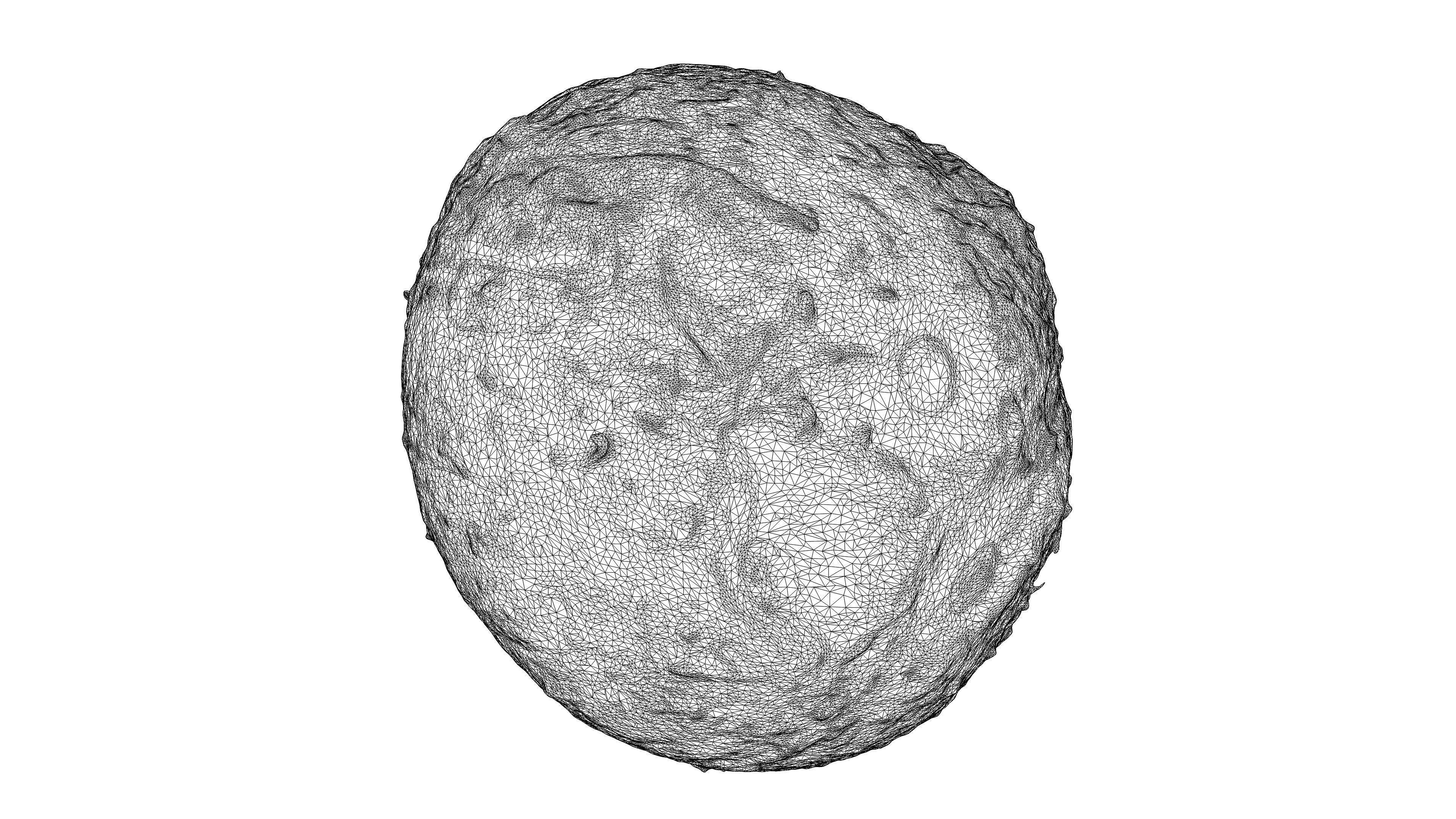 Photorealistic 3D scan of coconut Low-poly 3D model_25