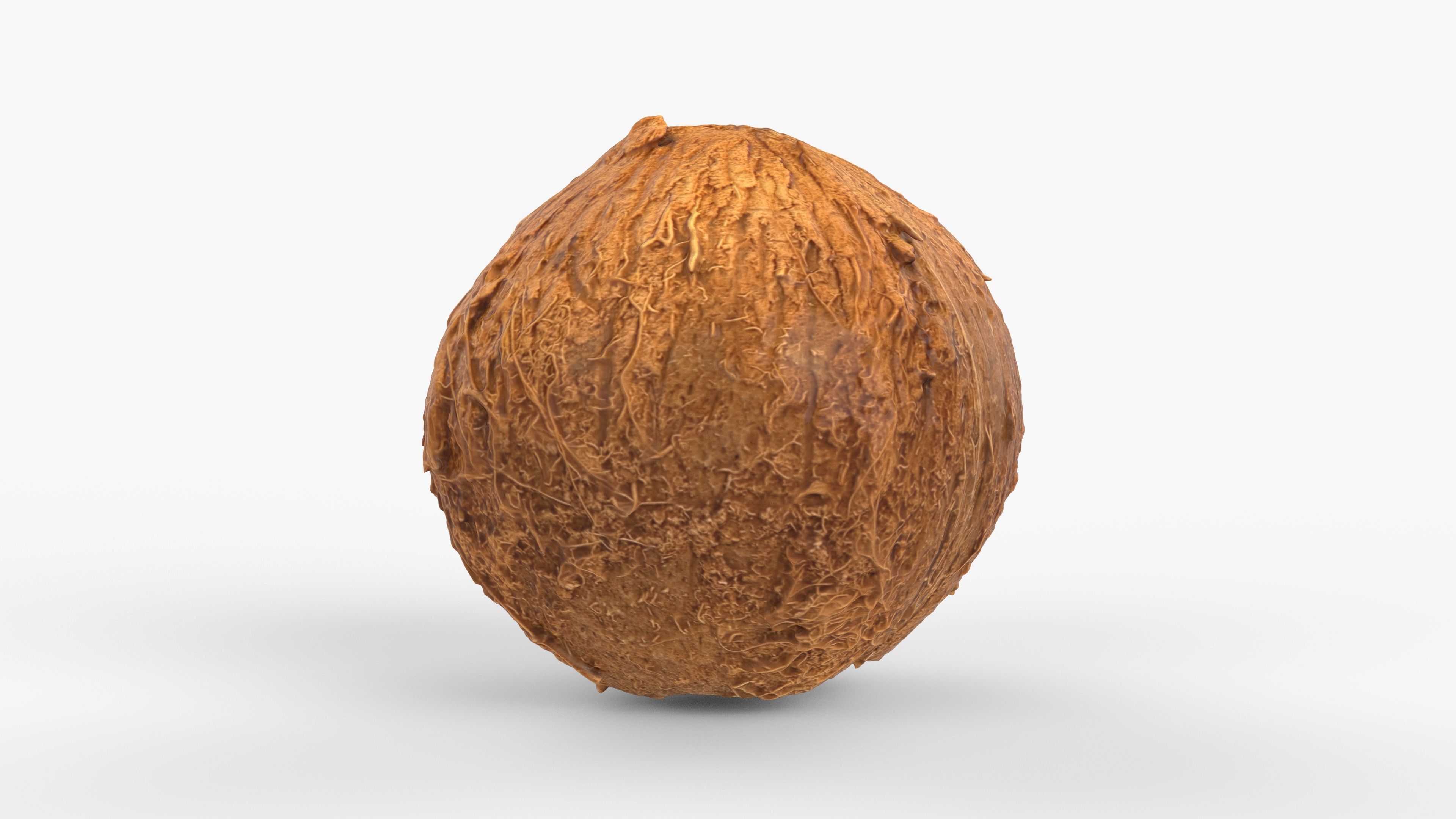 Photorealistic 3D scan of coconut Low-poly 3D model_10