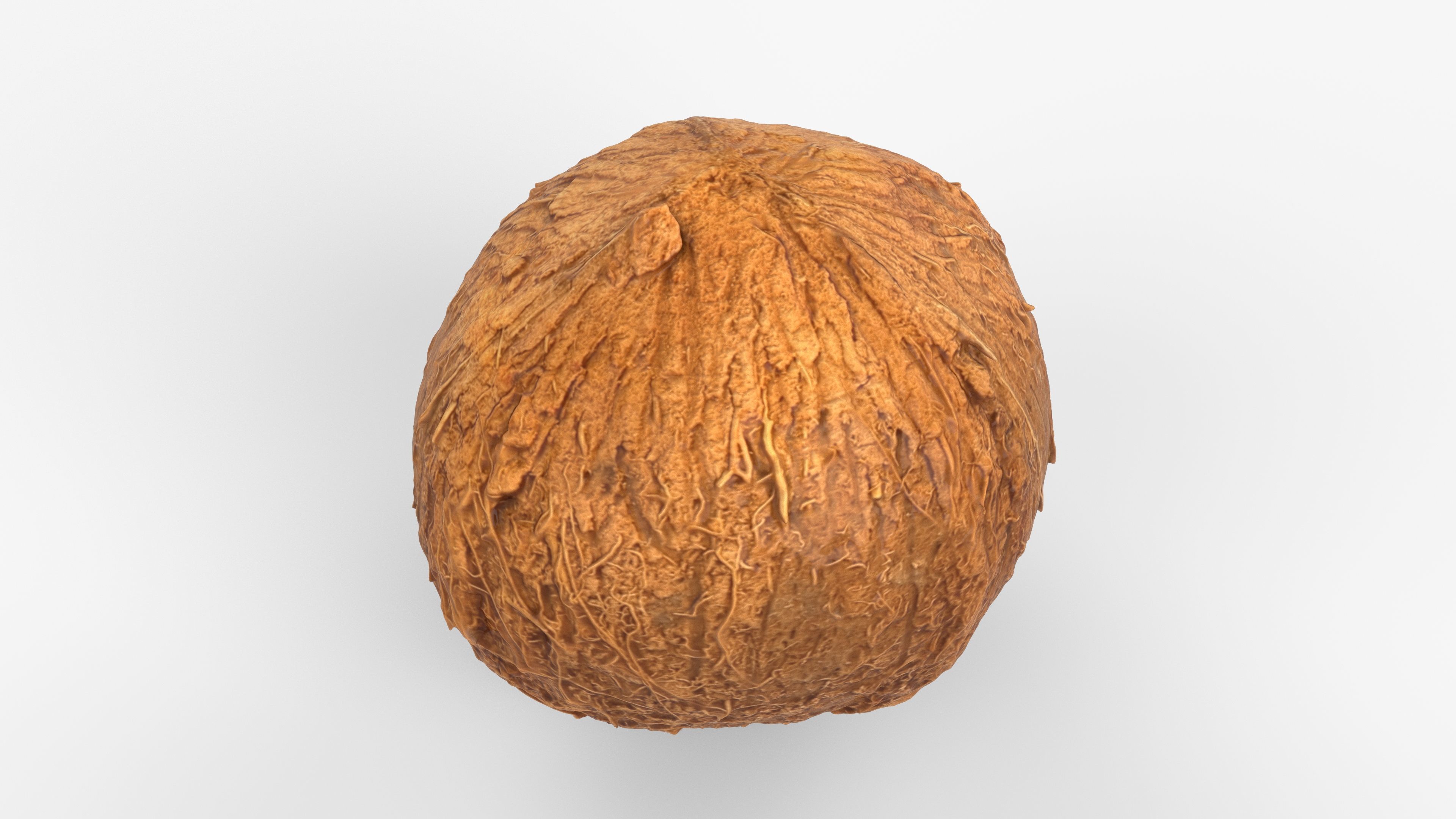 Photorealistic 3D scan of coconut Low-poly 3D model_6