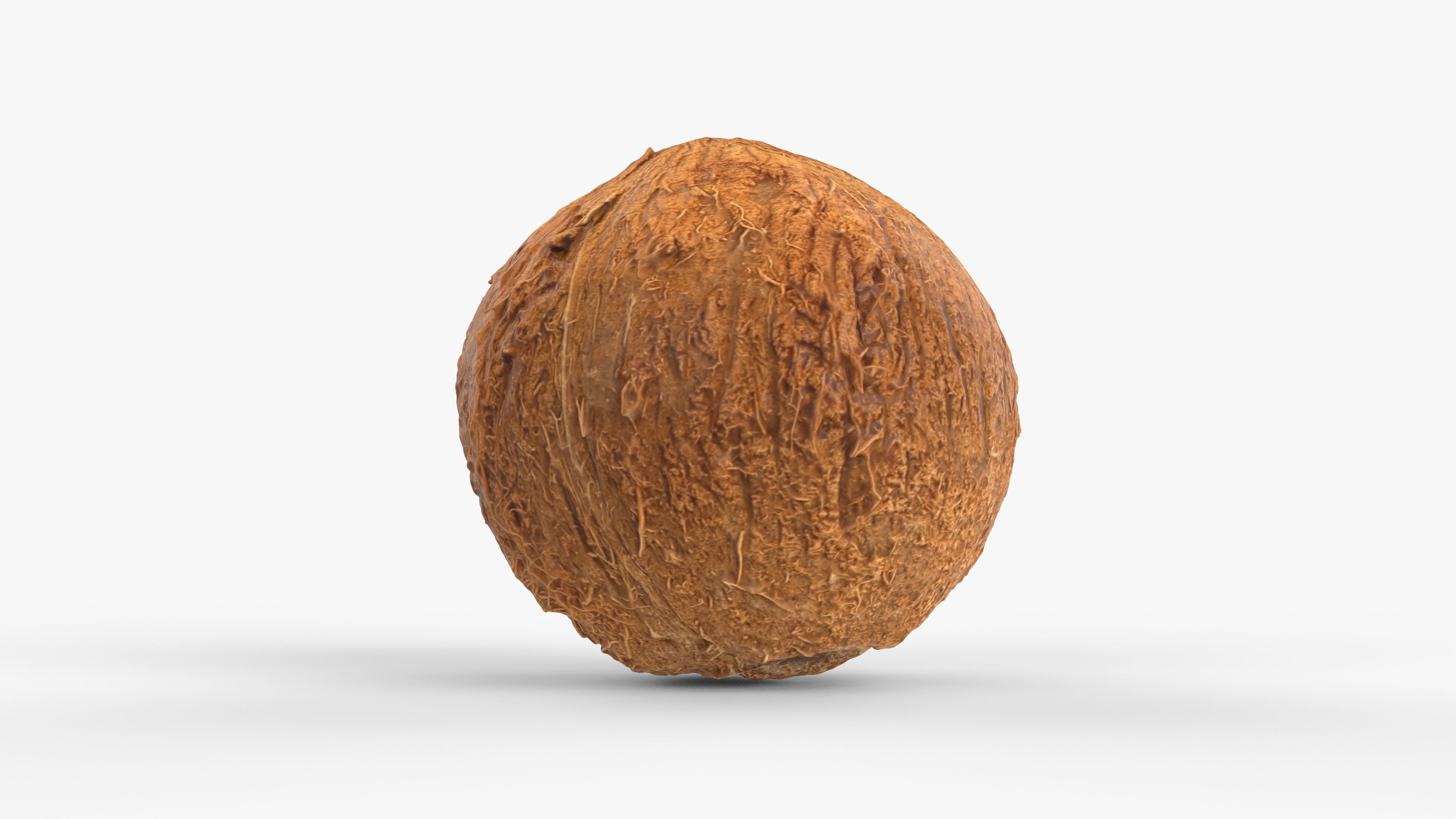 Photorealistic 3D scan of coconut Low-poly 3D model_4