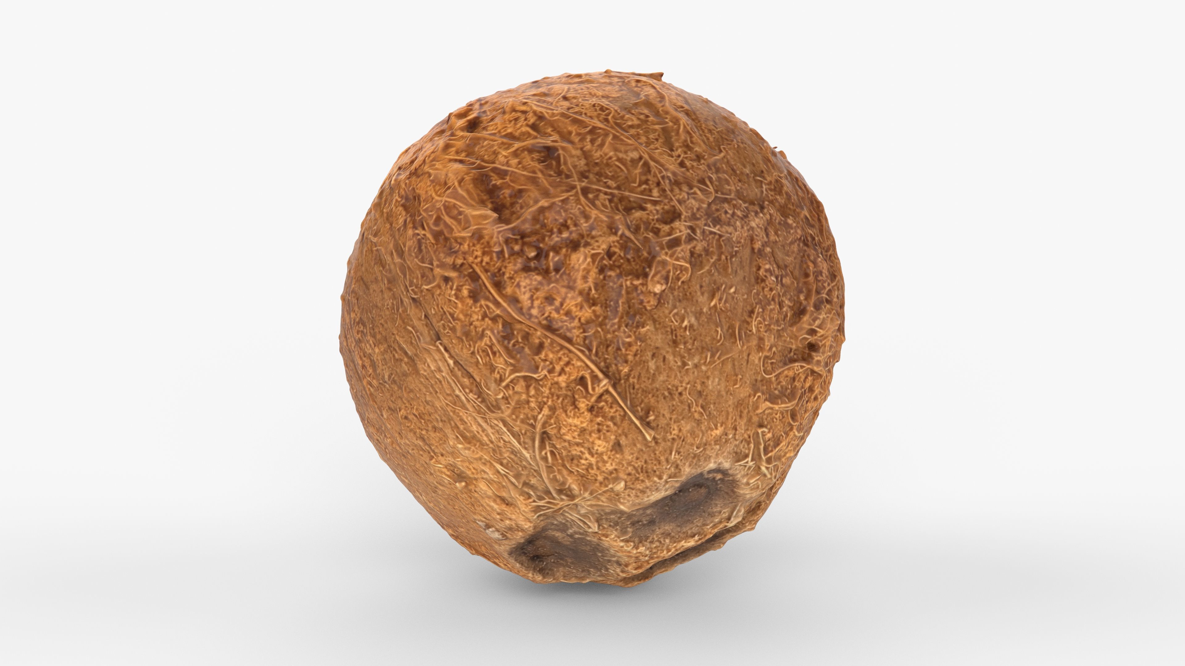 Photorealistic 3D scan of coconut Low-poly 3D model_2