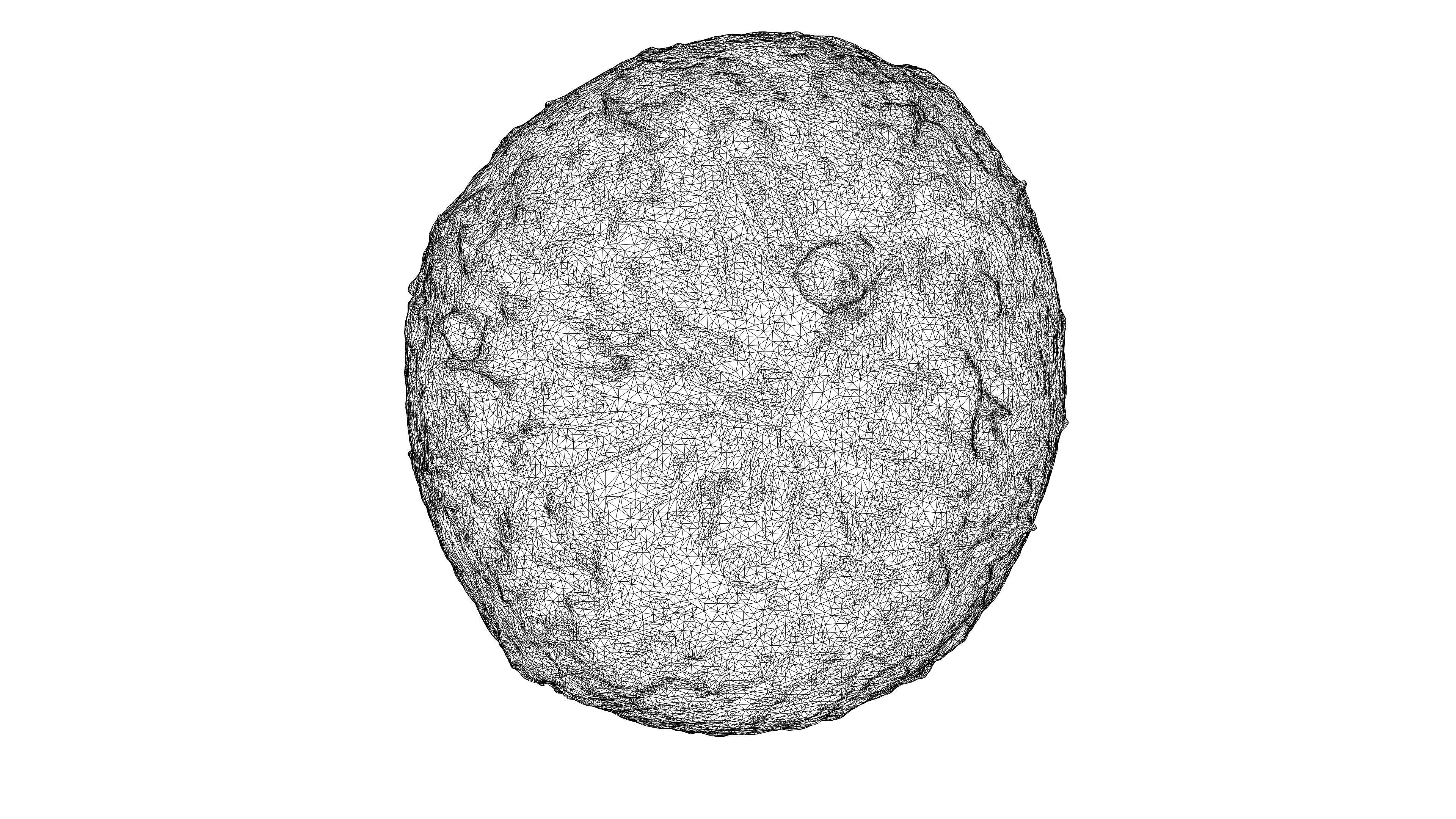 Photorealistic 3D scan of coconut Low-poly 3D model_24