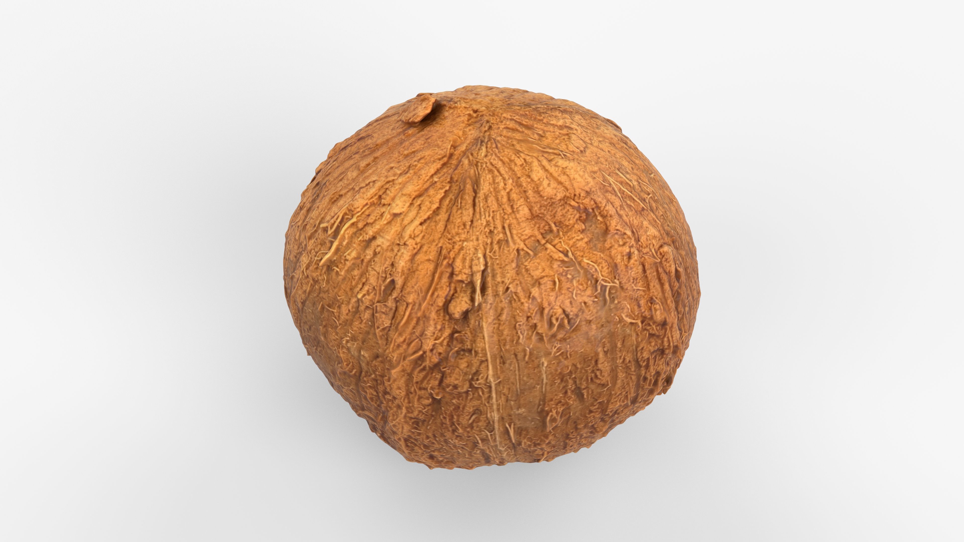 Photorealistic 3D scan of coconut Low-poly 3D model_9