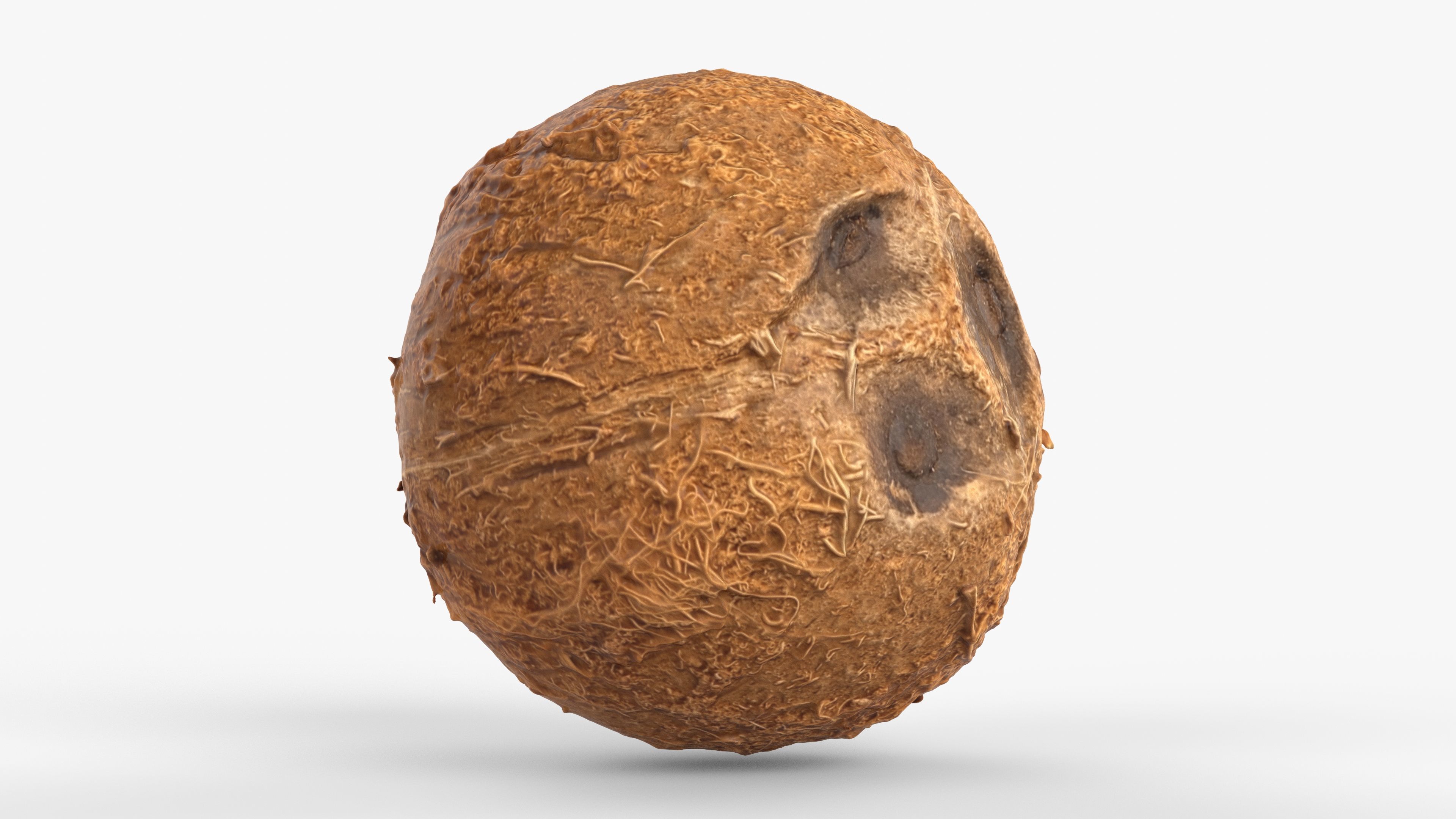 Photorealistic 3D scan of coconut Low-poly 3D model_5