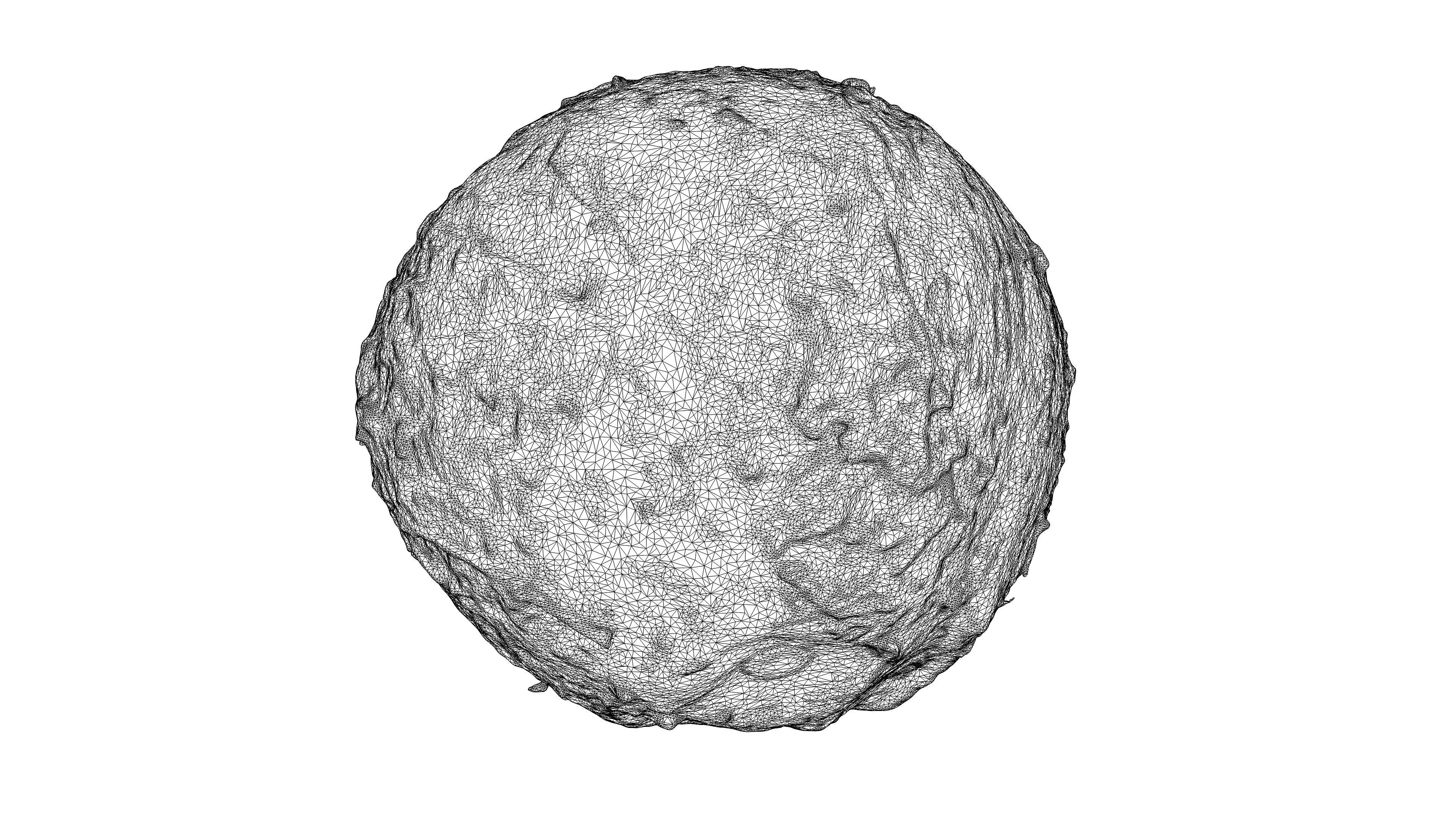 Photorealistic 3D scan of coconut Low-poly 3D model_22