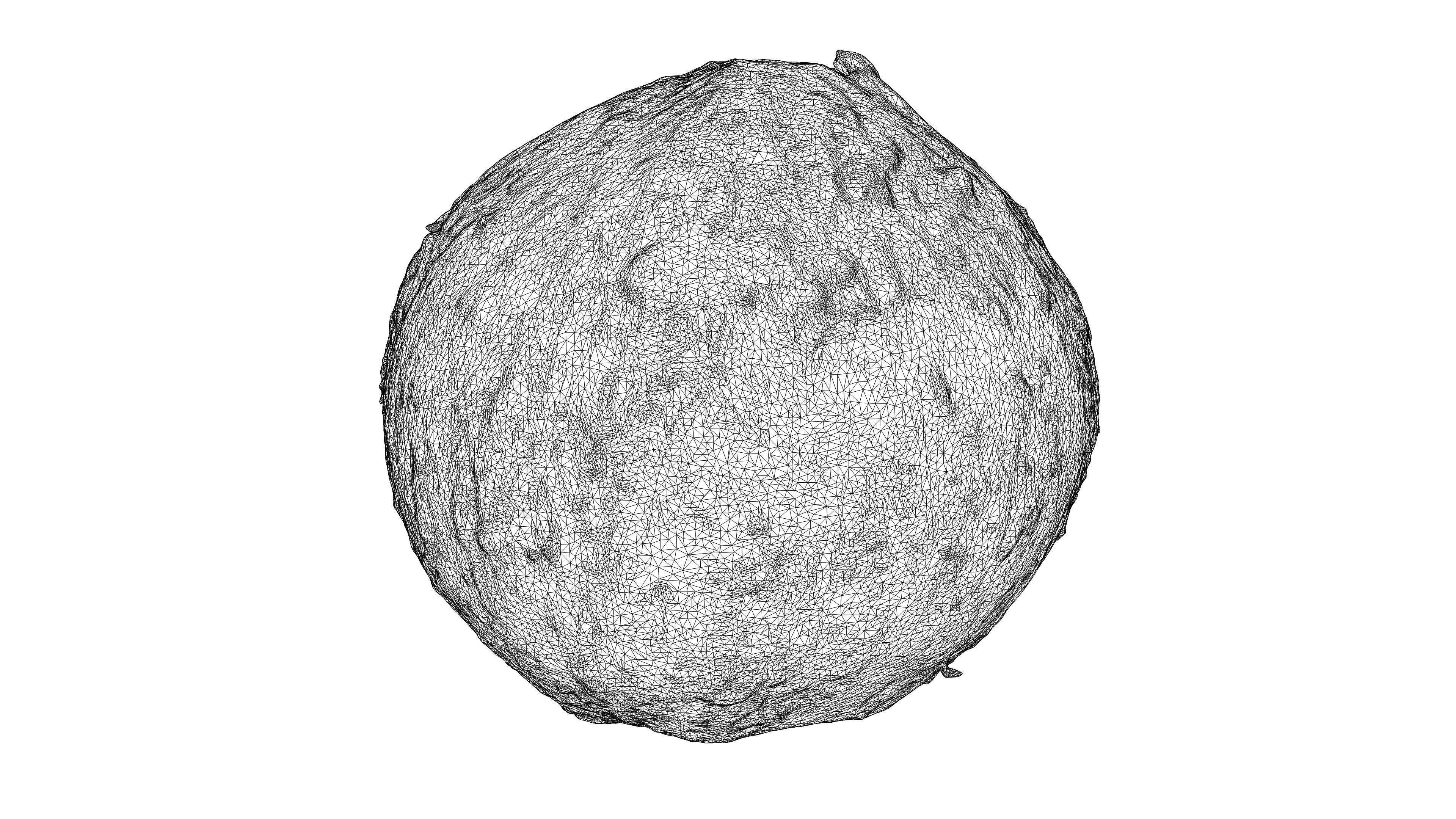 Photorealistic 3D scan of coconut Low-poly 3D model_20