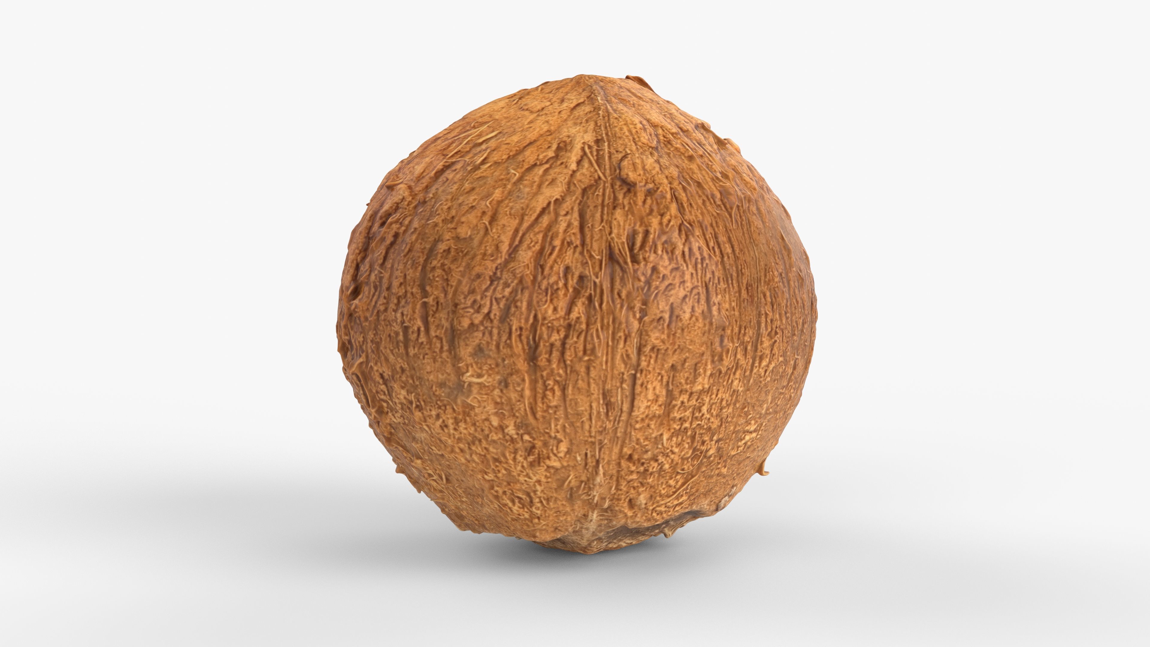 Photorealistic 3D scan of coconut Low-poly 3D model_7