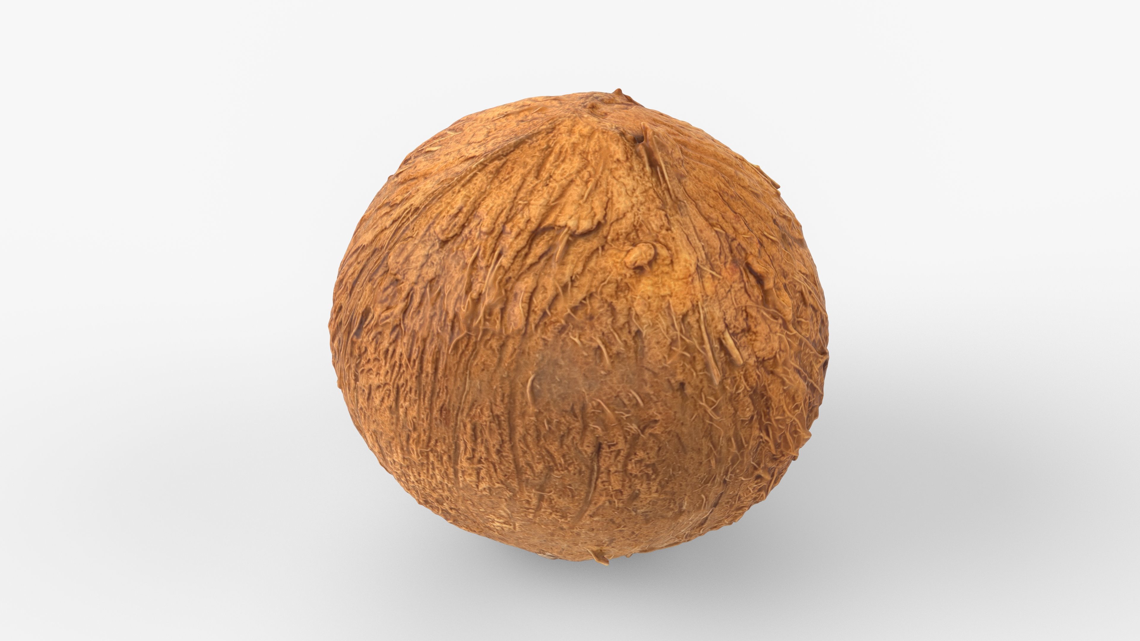 Photorealistic 3D scan of coconut Low-poly 3D model_1