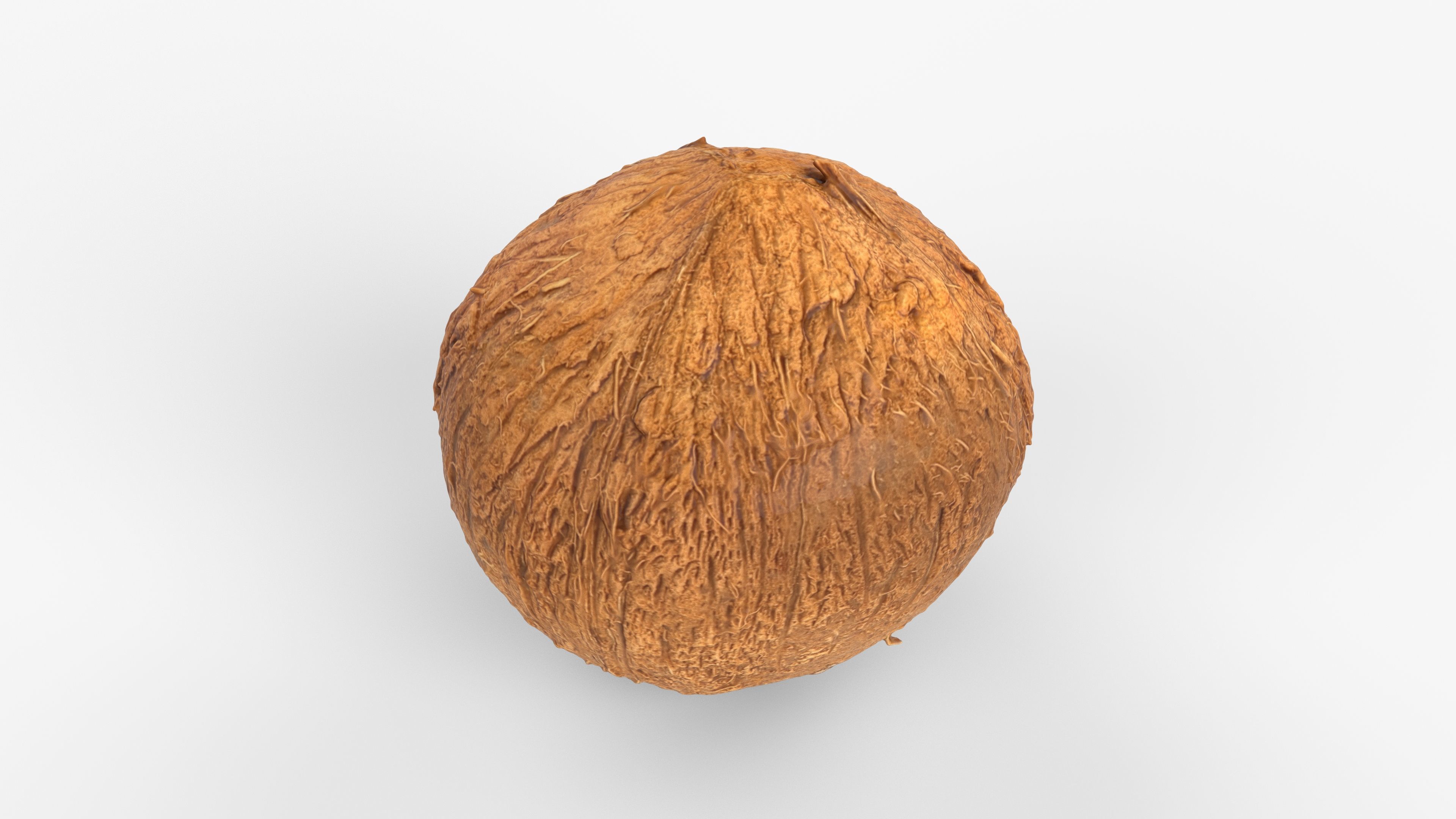 Photorealistic 3D scan of coconut Low-poly 3D model_11
