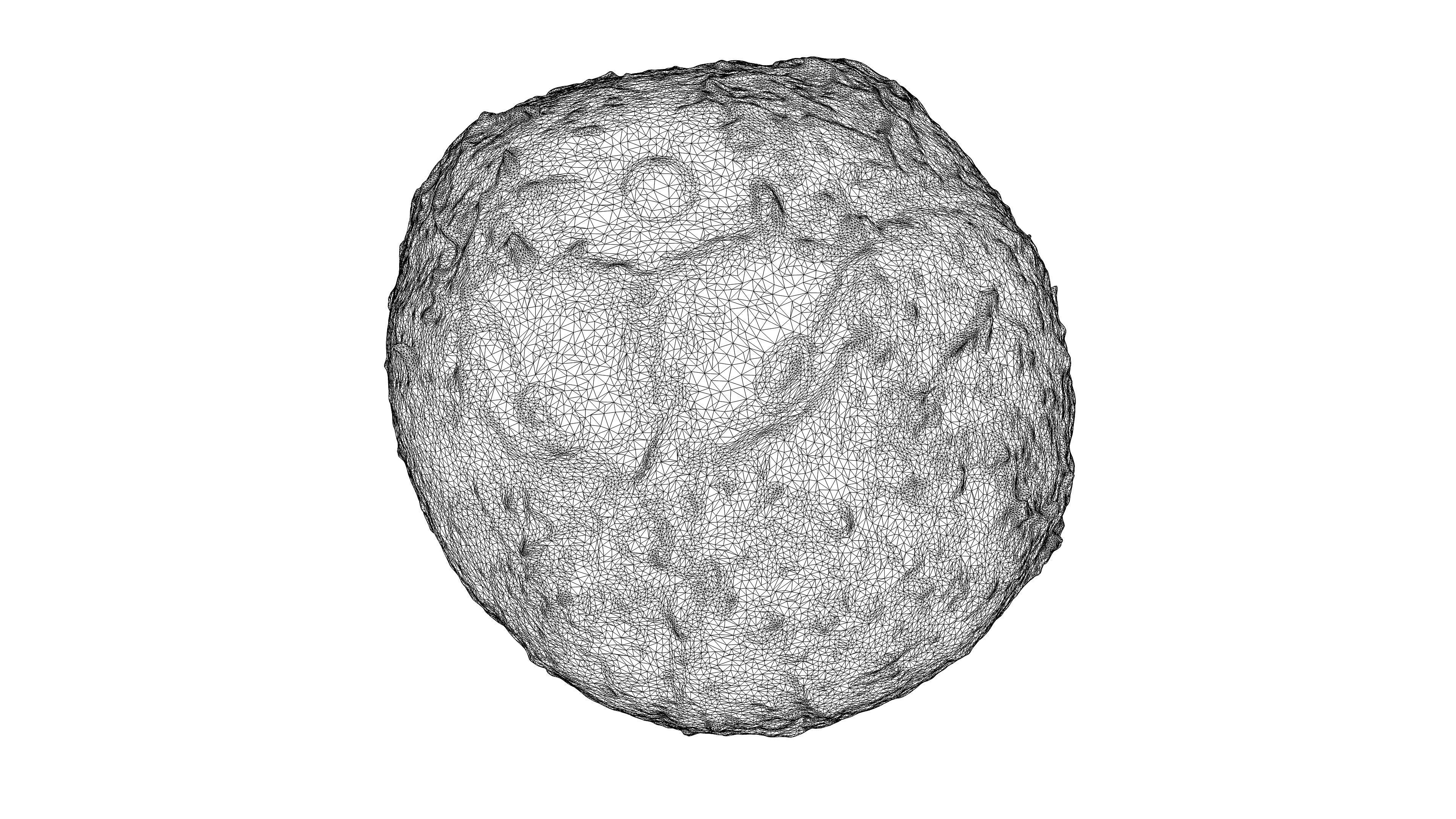 Photorealistic 3D scan of coconut Low-poly 3D model_23