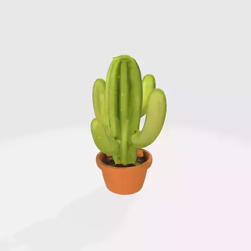 Vibrant Cactus in Terracotta Pot