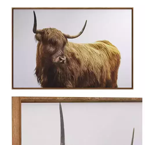 Highland Framed Print