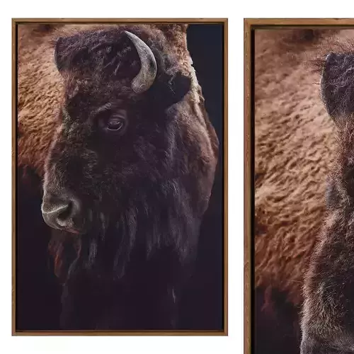 Plains Bison Framed Print 3D model