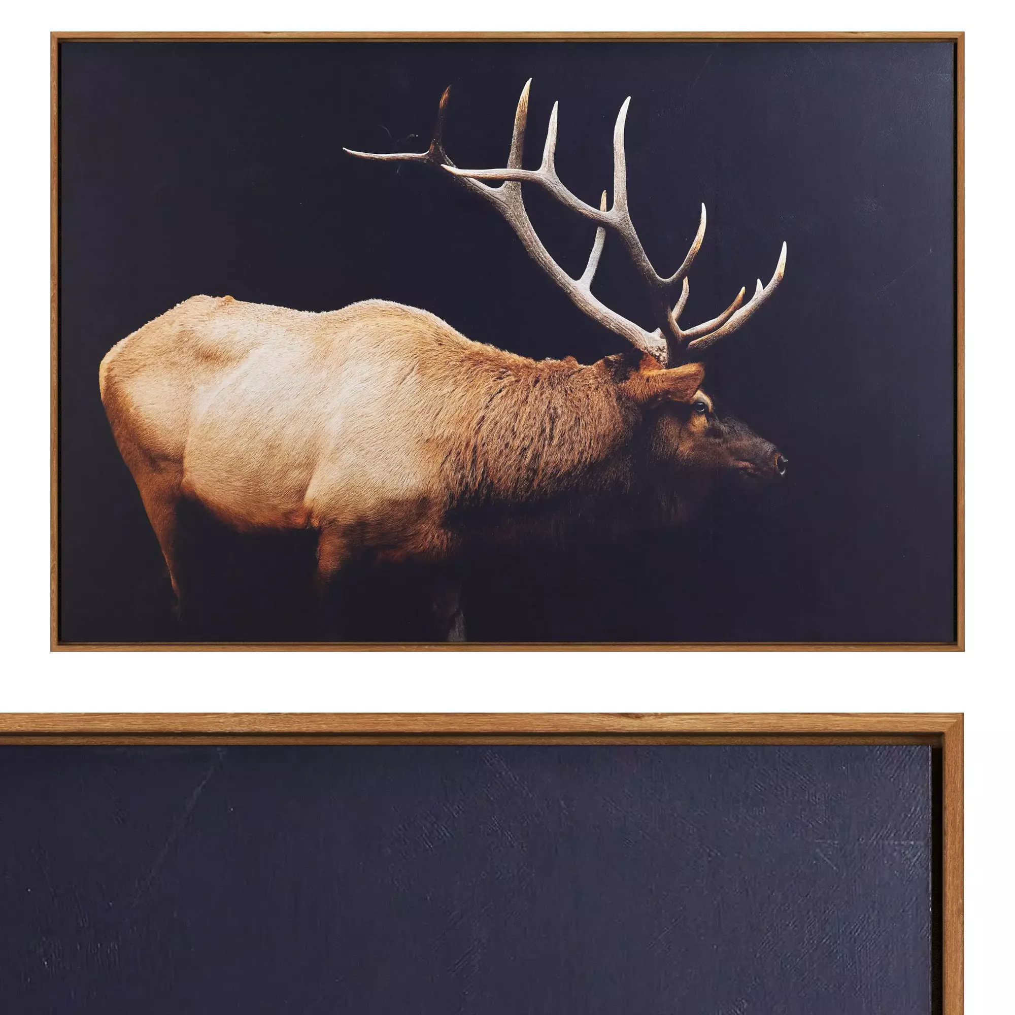 Caribou Framed Print 3D model_0
