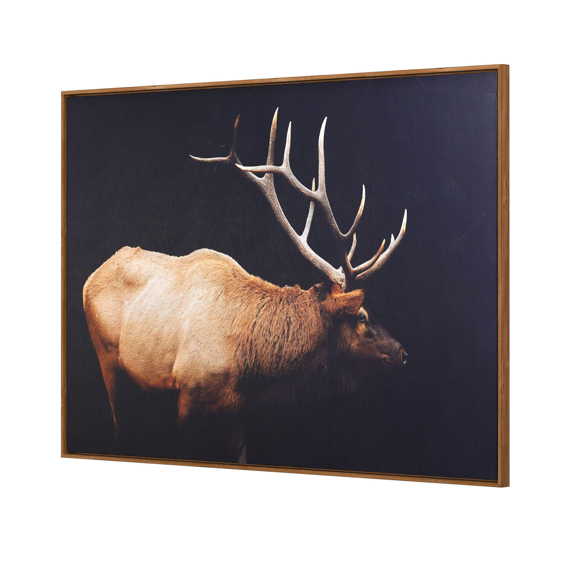 Caribou Framed Print 3D model_4