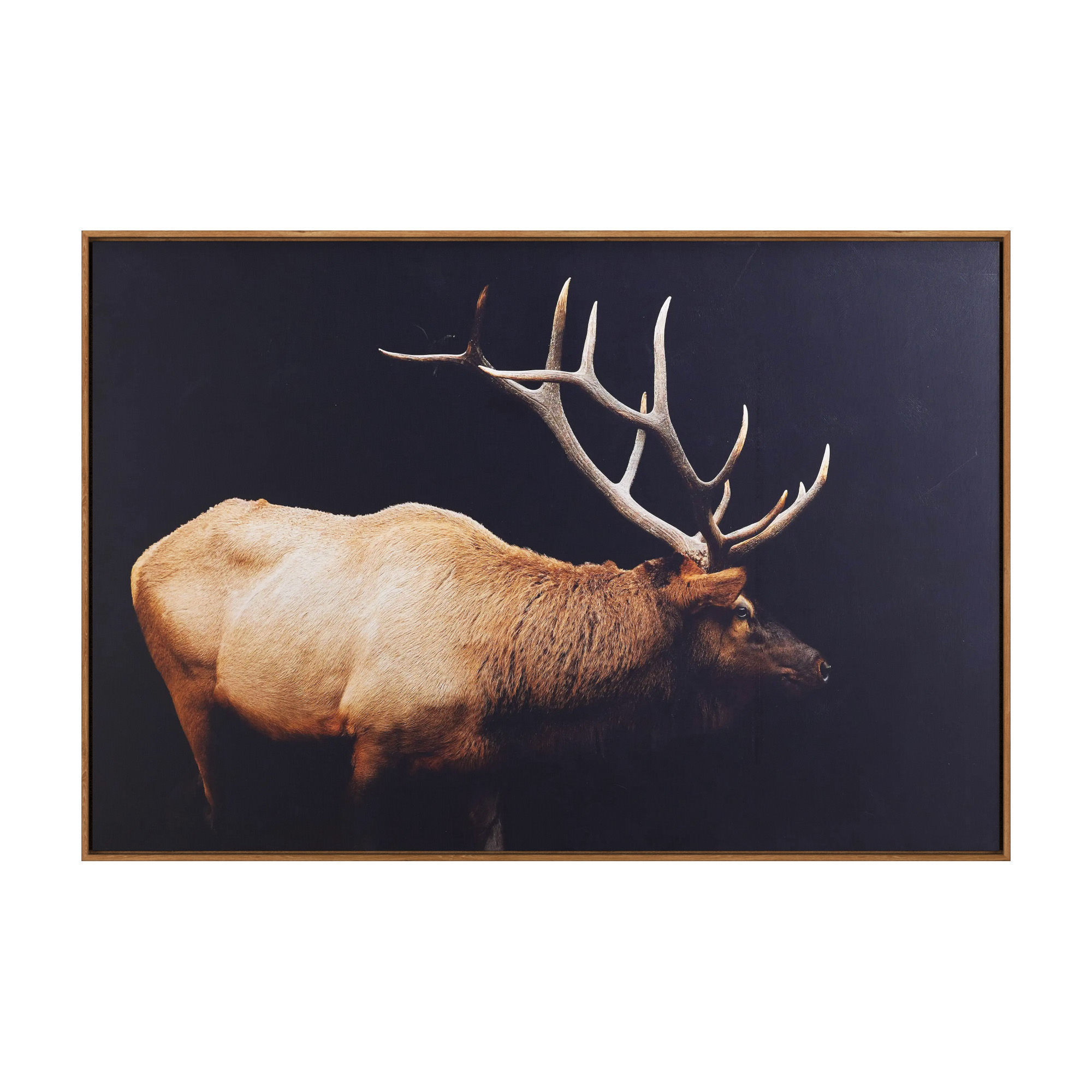 Caribou Framed Print 3D model_3