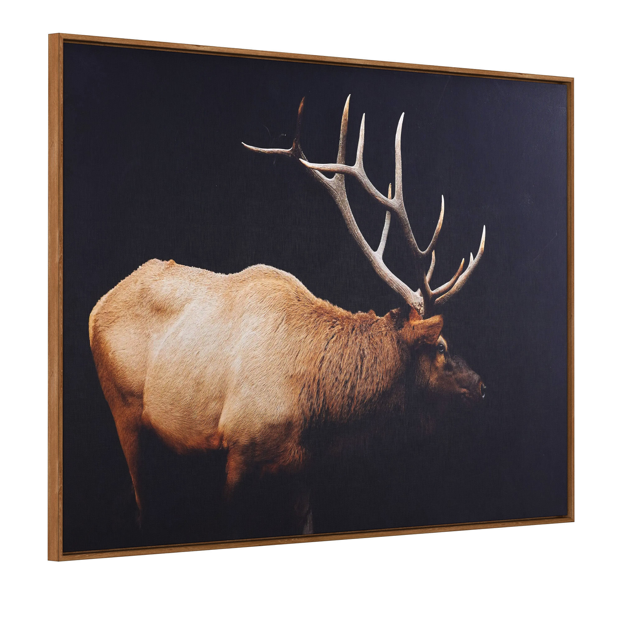 Caribou Framed Print 3D model_1