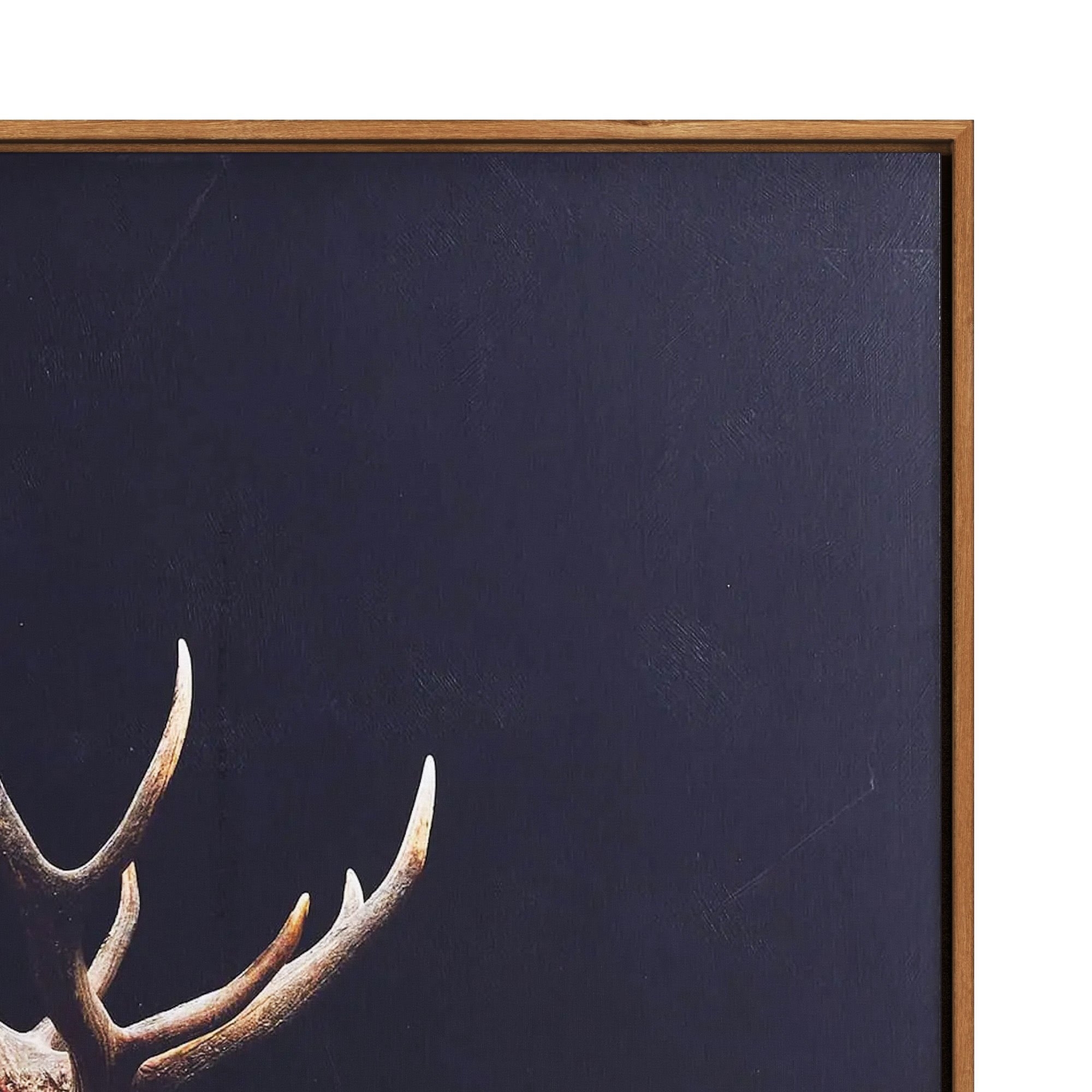 Caribou Framed Print 3D model_2