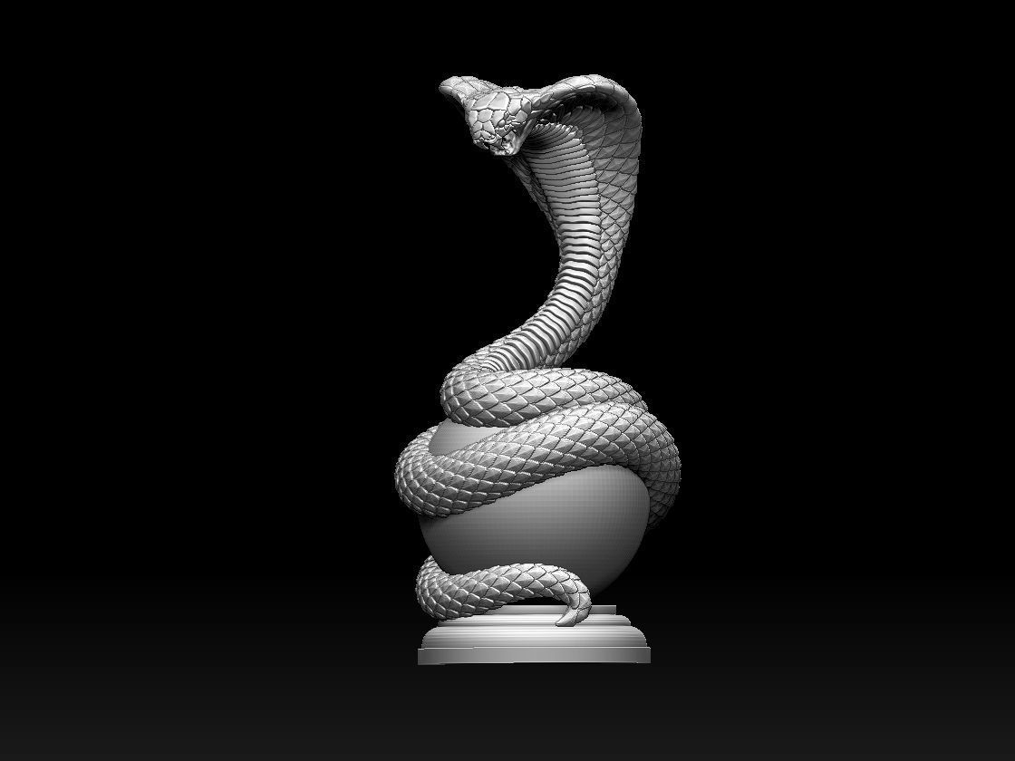 cobra 3D print model_58