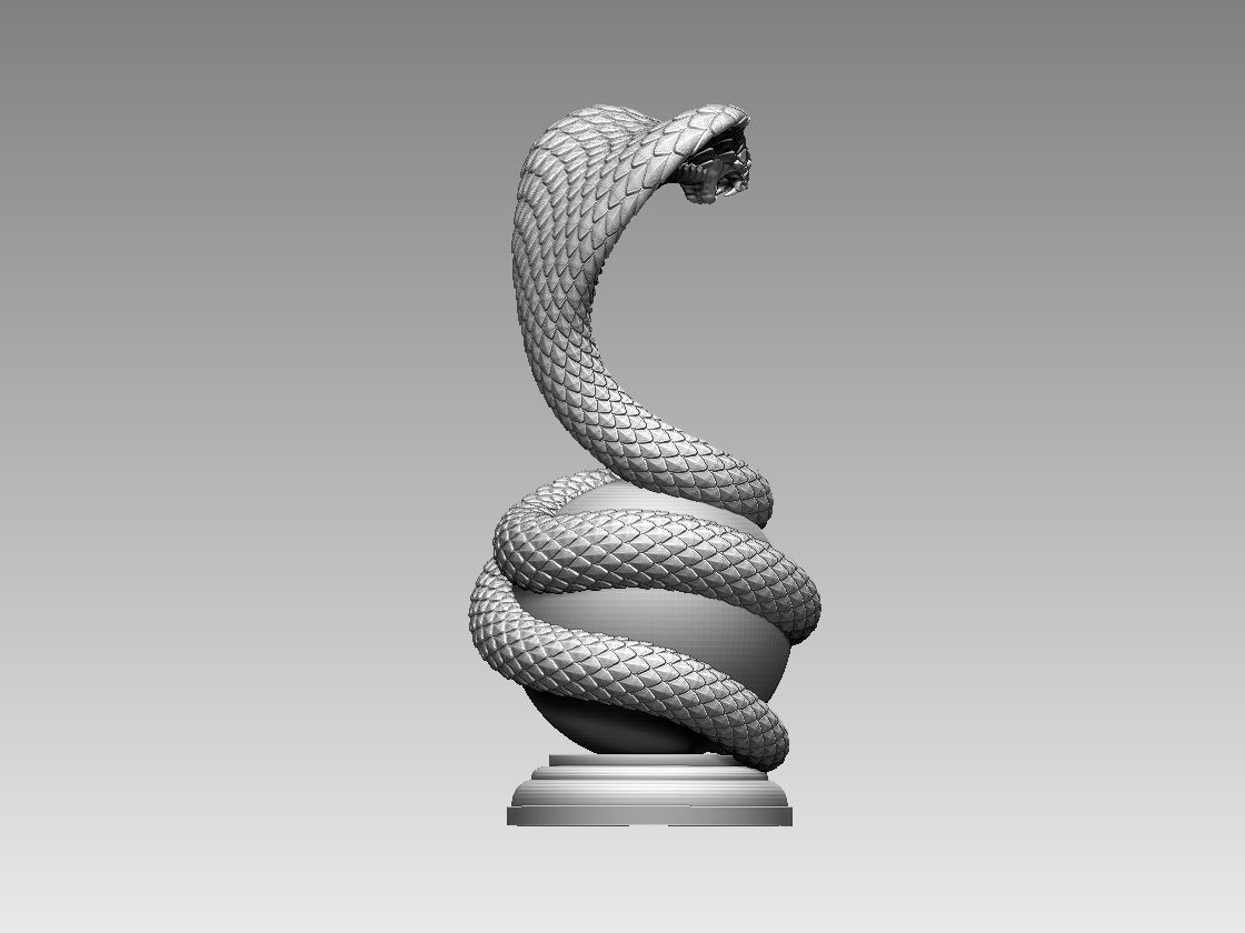 cobra 3D print model_50