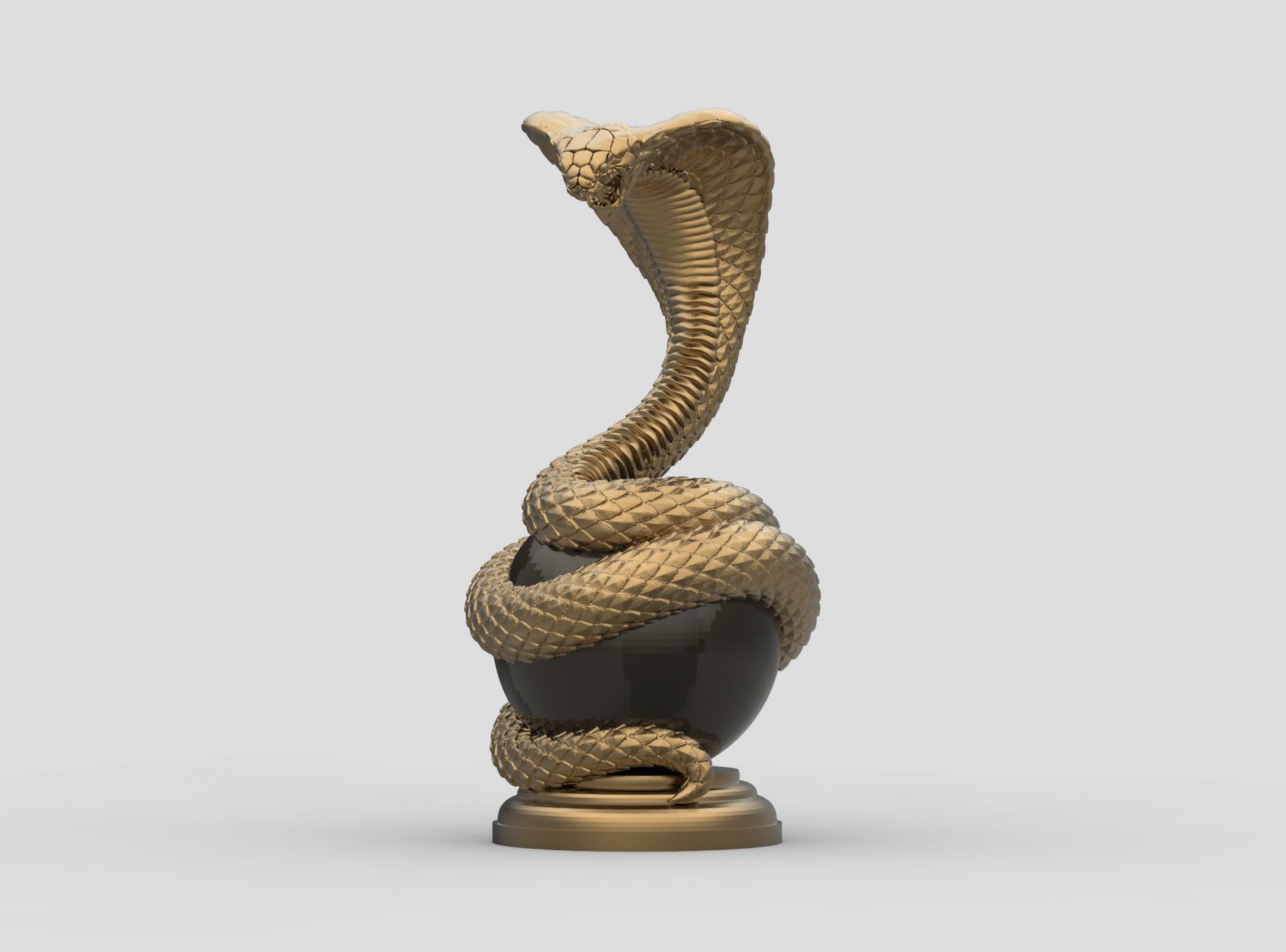 cobra 3D print model_29