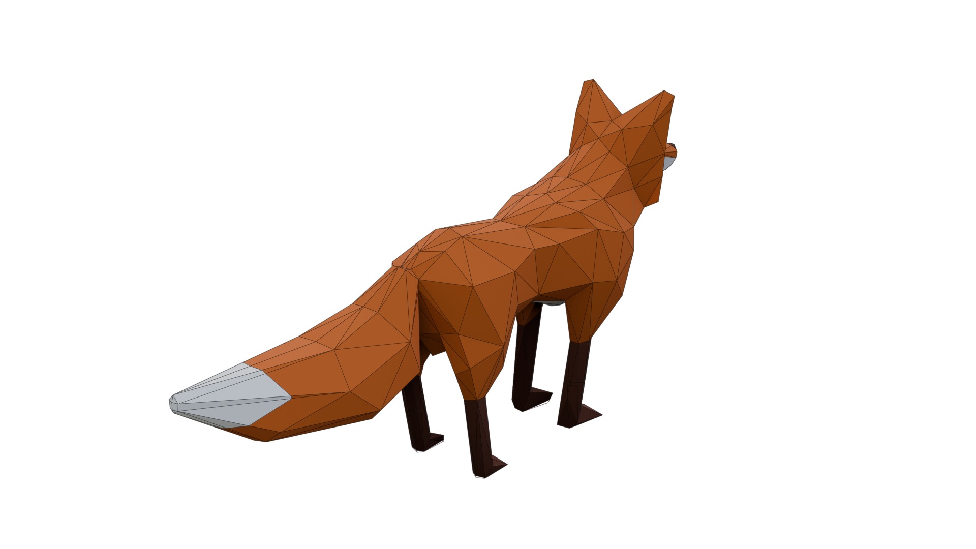 Low Poly Fox Low-poly 3D model_2