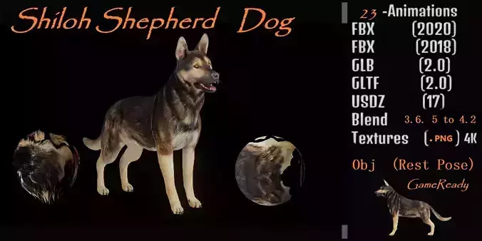 Shiloh Shepherd Dog