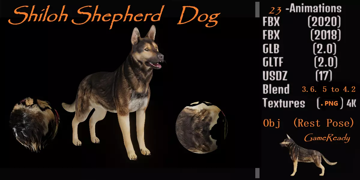 Shiloh Shepherd Dog Low-poly 3D model_0