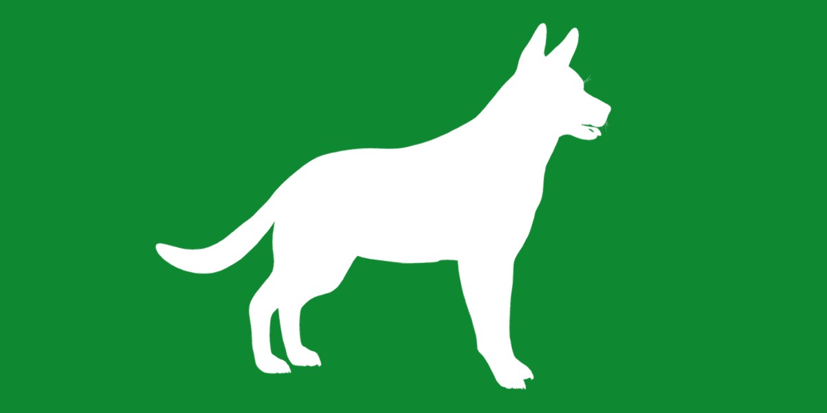 Shiloh Shepherd Dog Low-poly 3D model_32