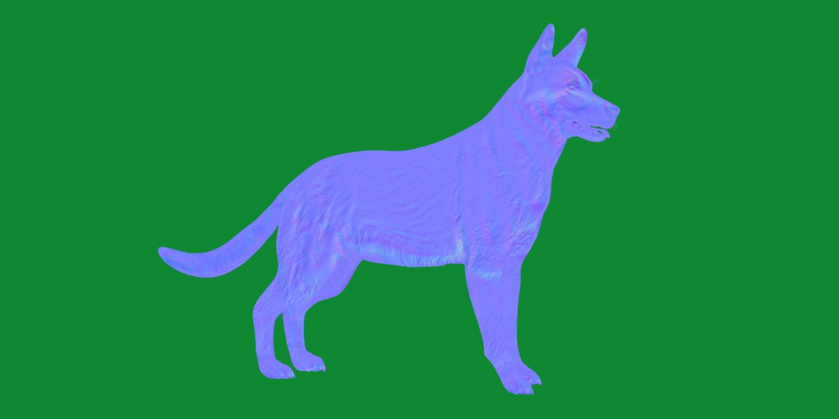 Shiloh Shepherd Dog Low-poly 3D model_33