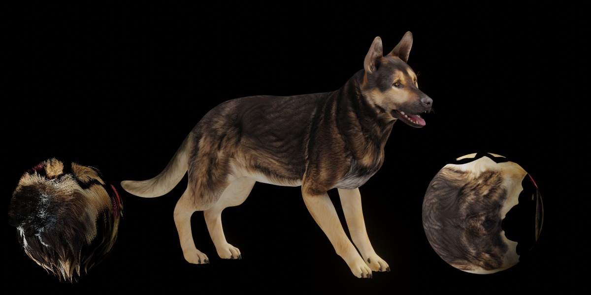 Shiloh Shepherd Dog Low-poly 3D model_3